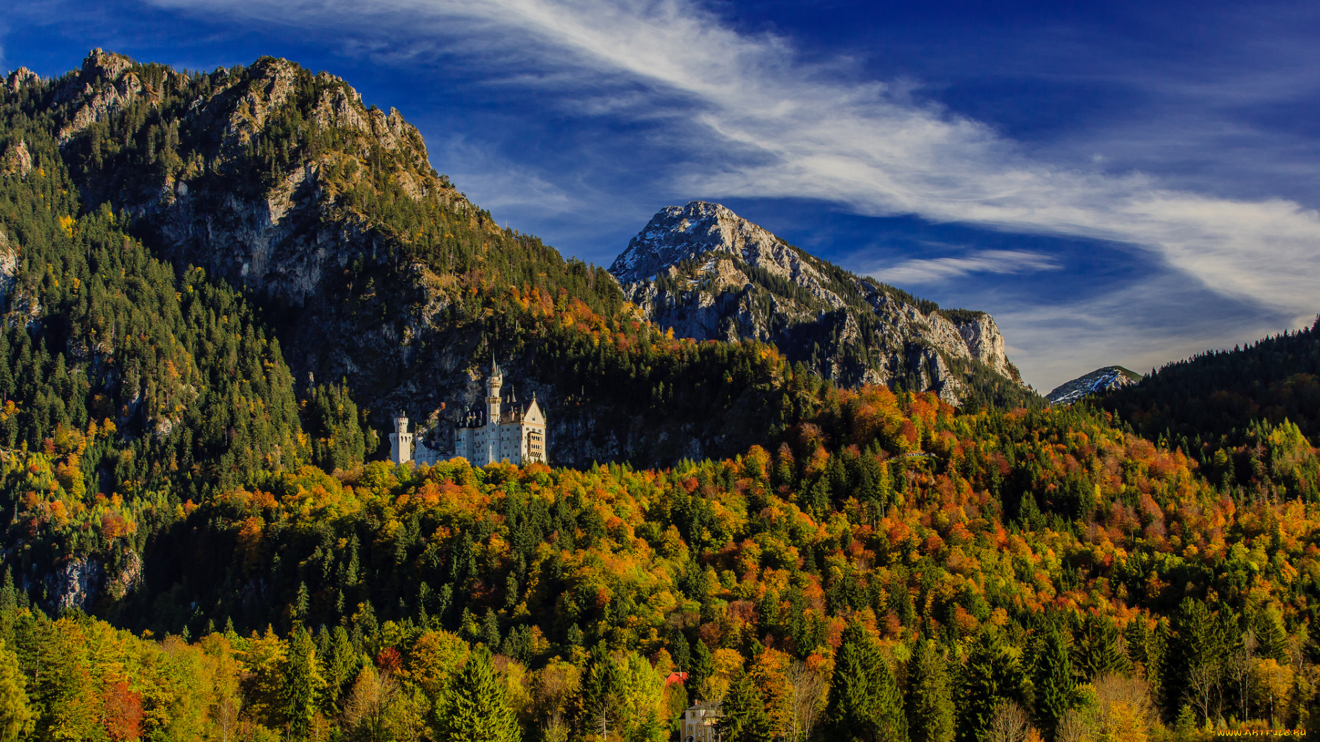 города, замок, нойшванштайн, германия, лес