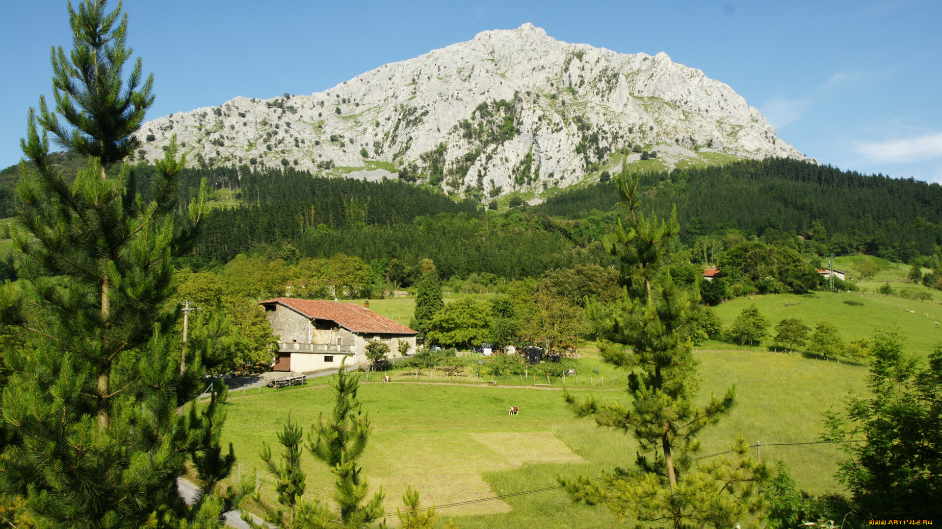 испания, страна, басков, природа, пейзажи, дома, лес, горы, луга