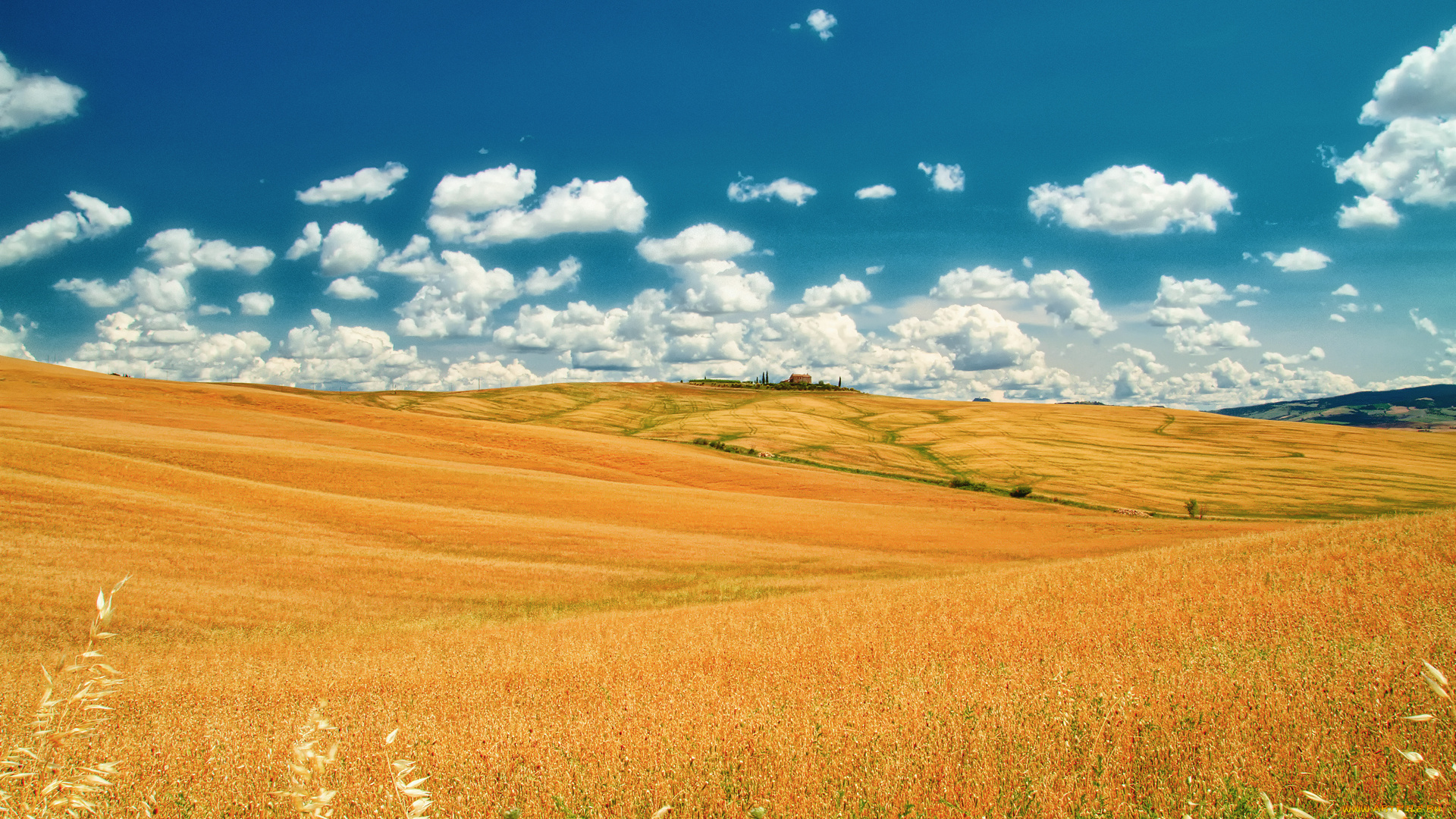 природа, поля, италия, тоскана, лето, июнь, поле, небо, облака
