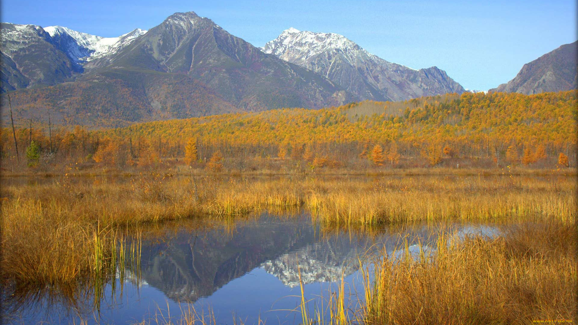 природа, реки, озера, водоем, лес, горы, осень