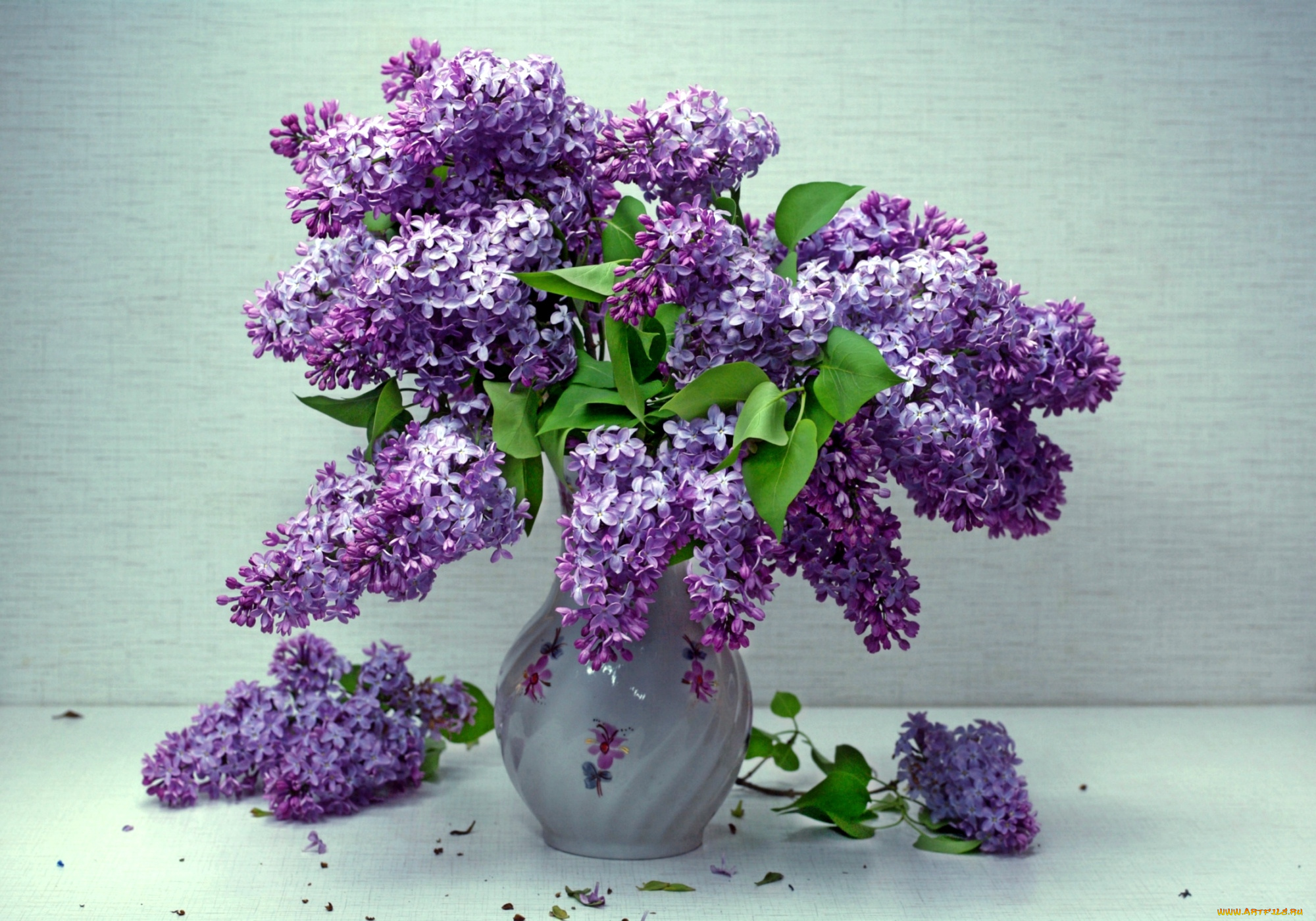 цветы, сирень, букет