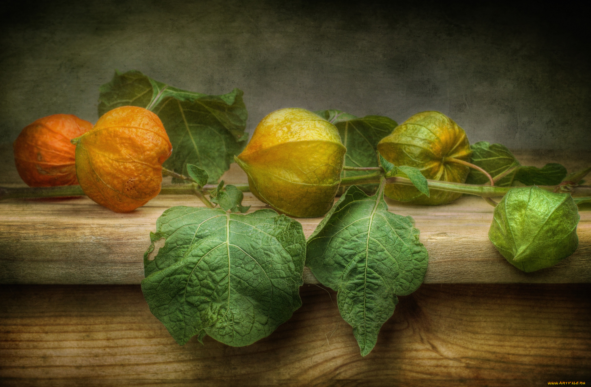 еда, физалис