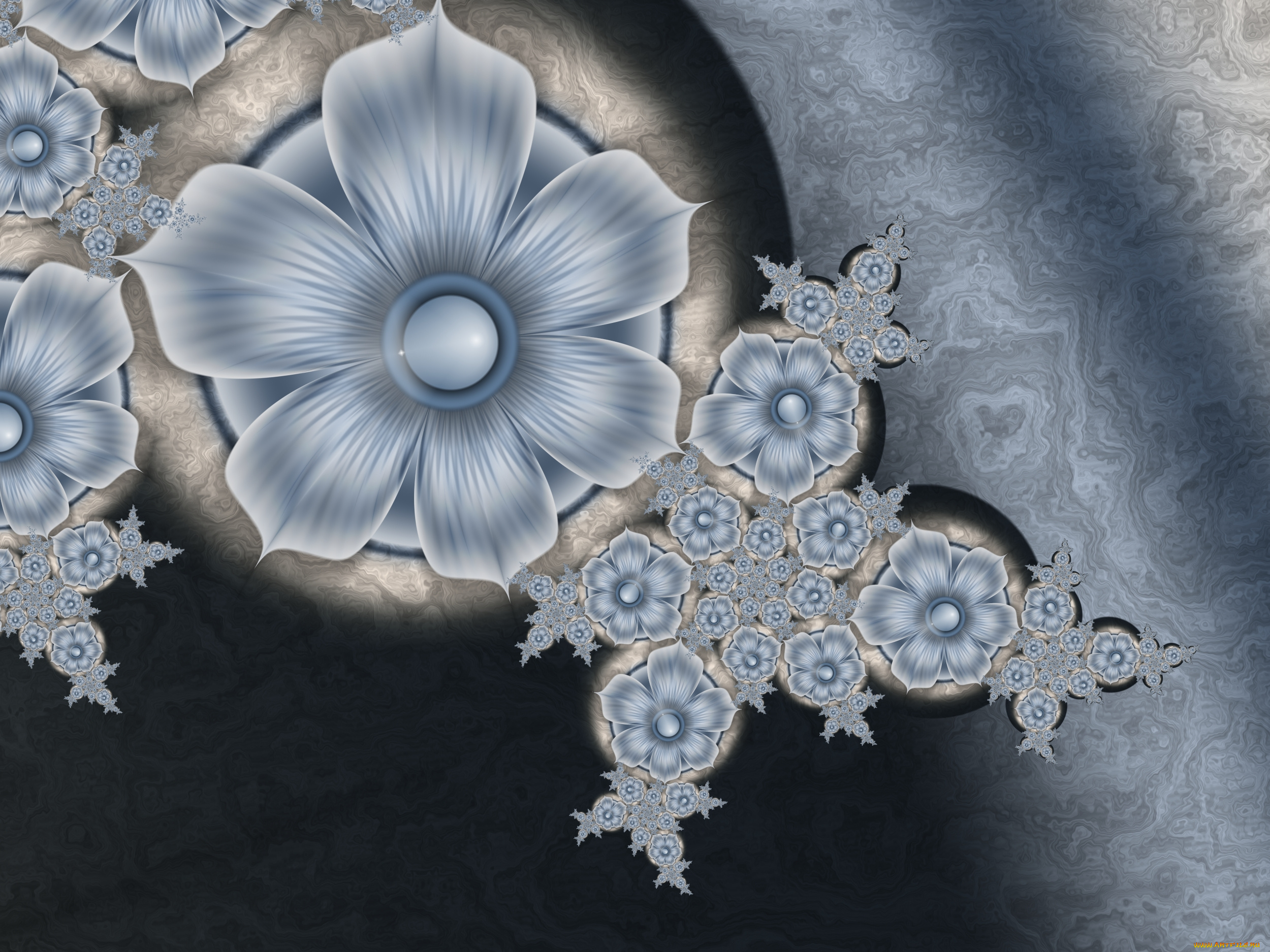 3д, графика, flowers, цветы, лепестки