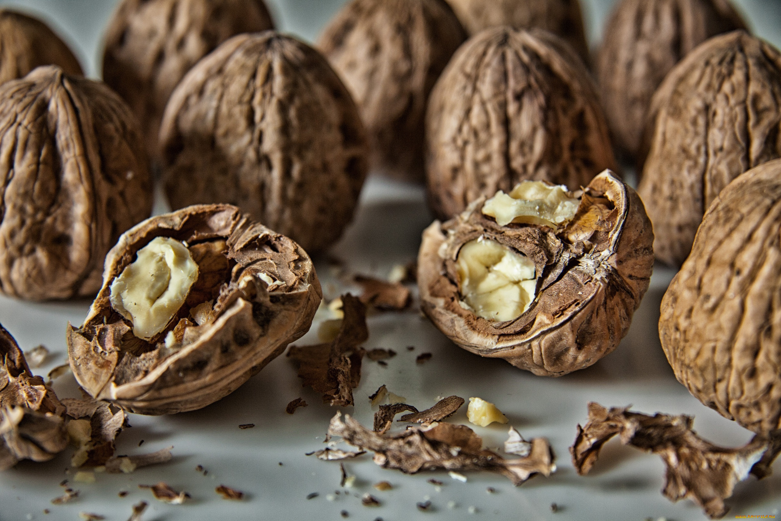 еда, орехи, каштаны, грецкие