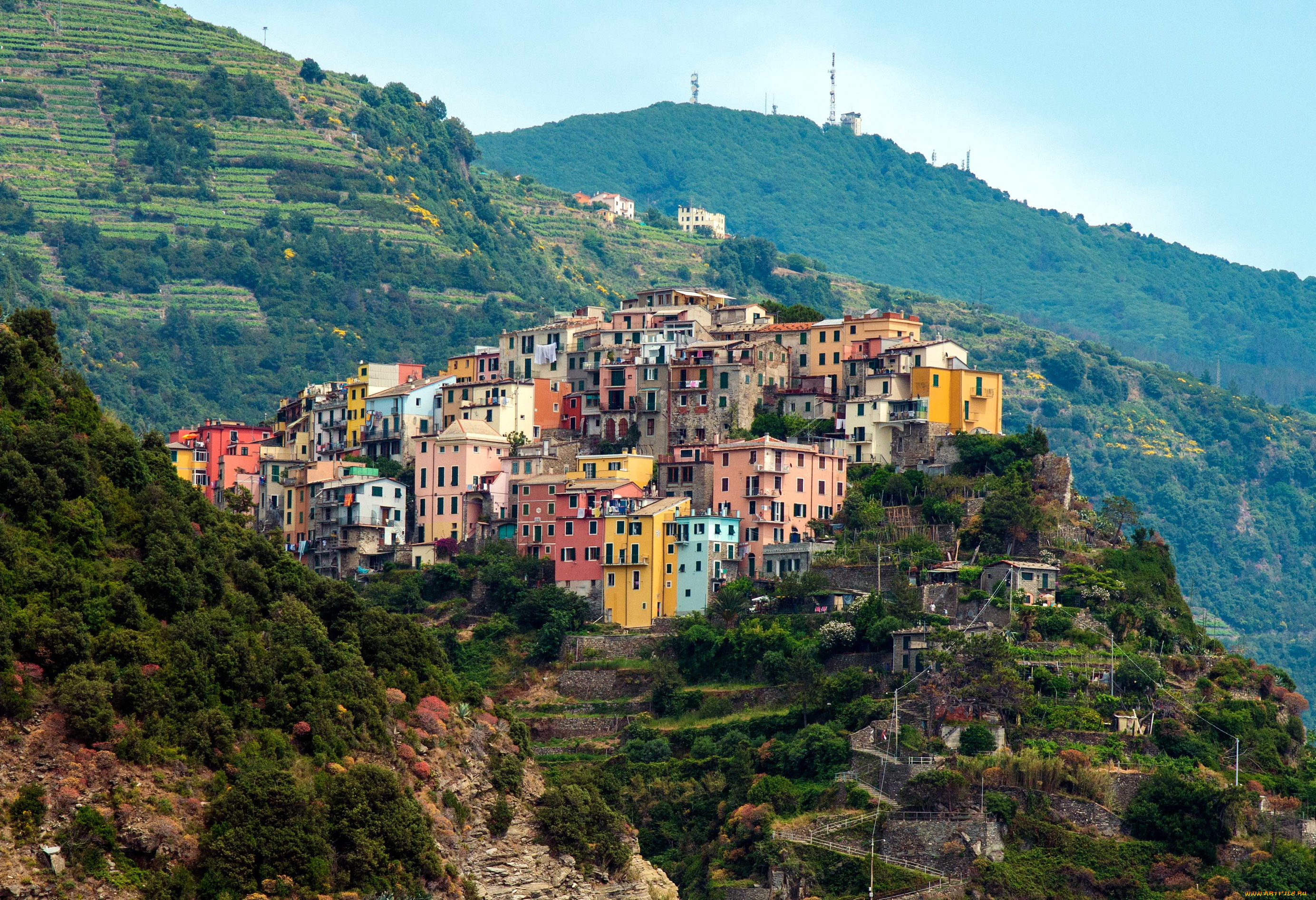 corniglia, cinque, terre, италия, города, амальфийское, лигурийское, побережье, горы, поля, дома