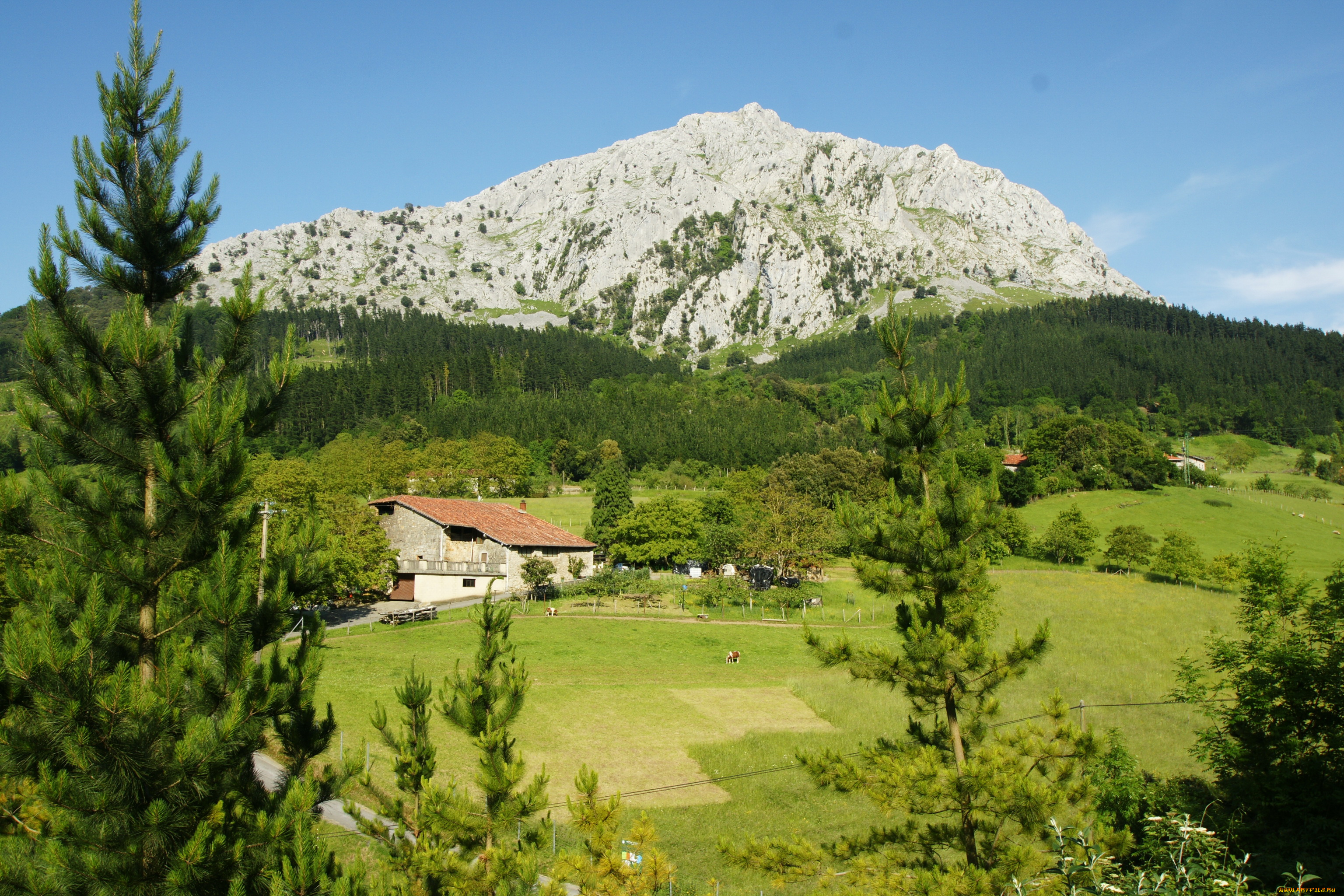 испания, страна, басков, природа, пейзажи, дома, лес, горы, луга