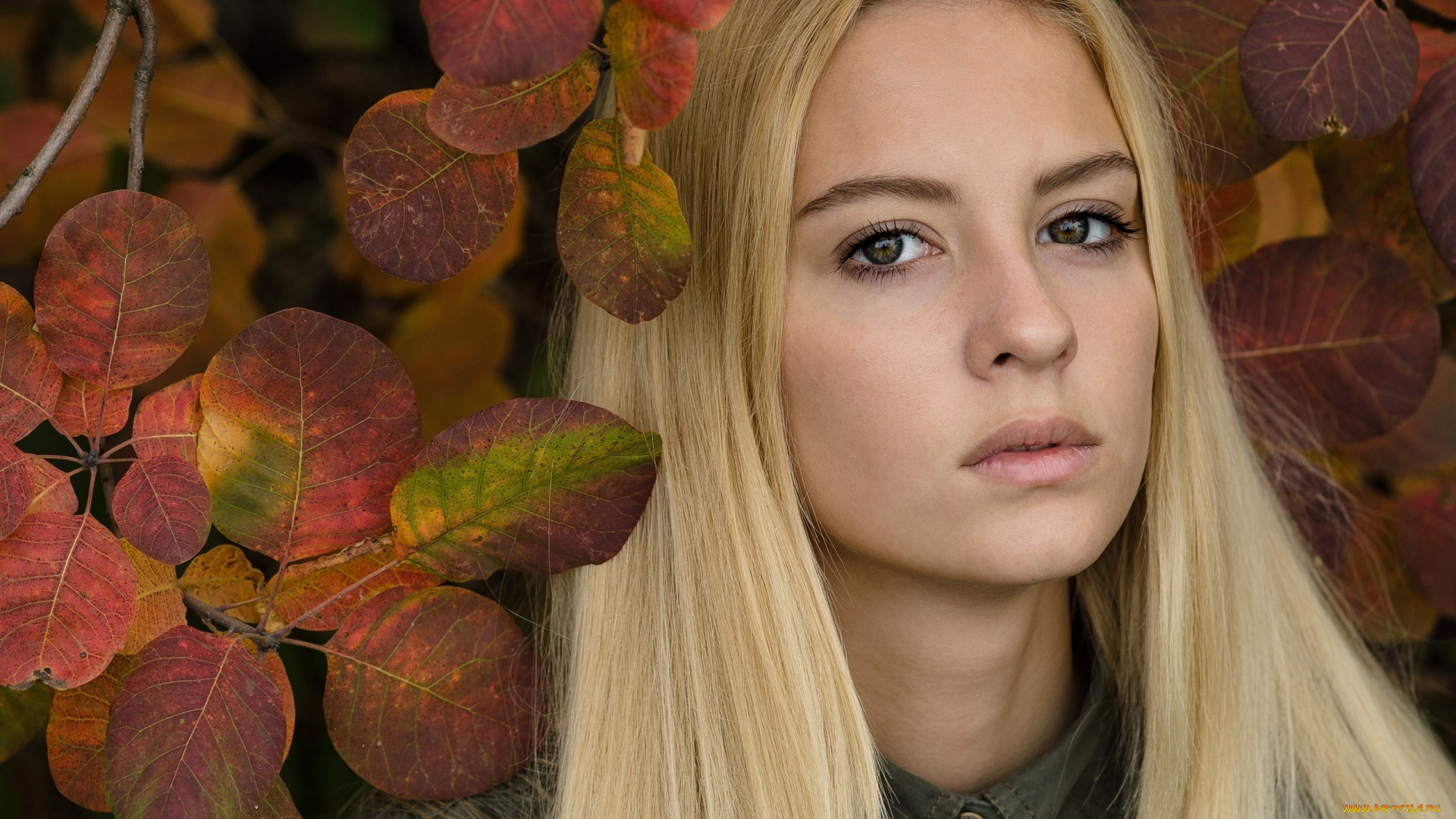 девушки, -unsort, , лица, , портреты, осень, девушка, лицо, листья, блондинка