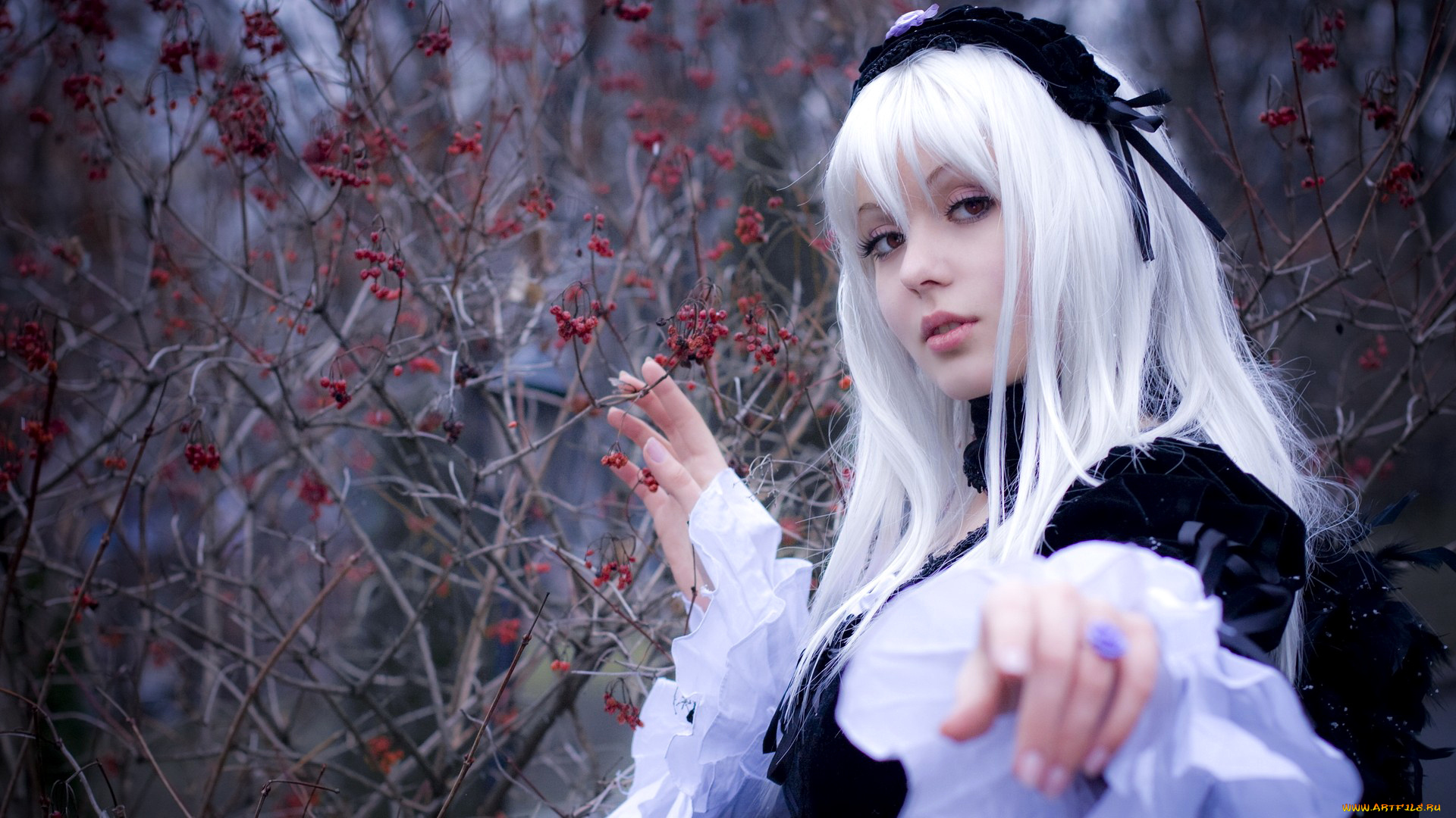 разное, cosplay, , косплей, ягоды, осень, костюм, взгляд, блондинка, rozen, maiden, аниме, suigintou