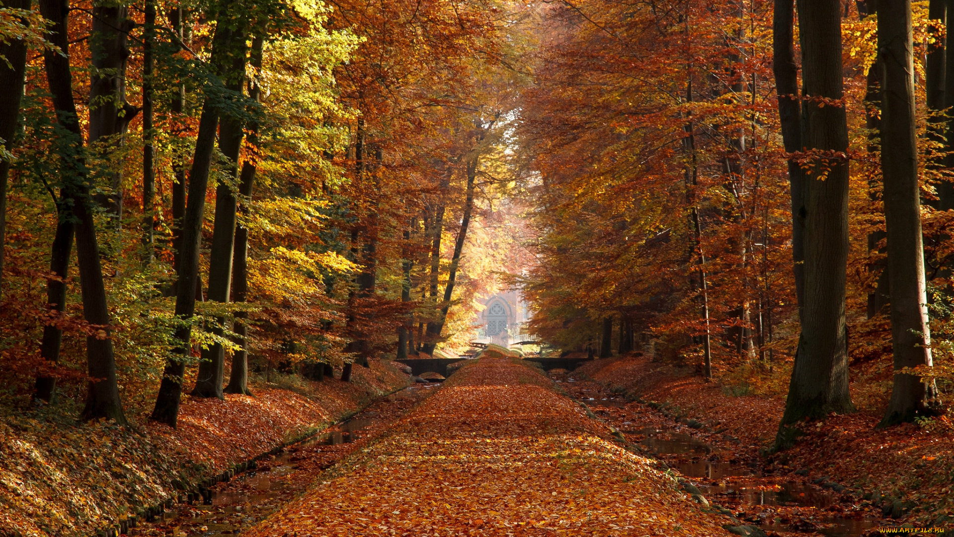 природа, дороги, тракт