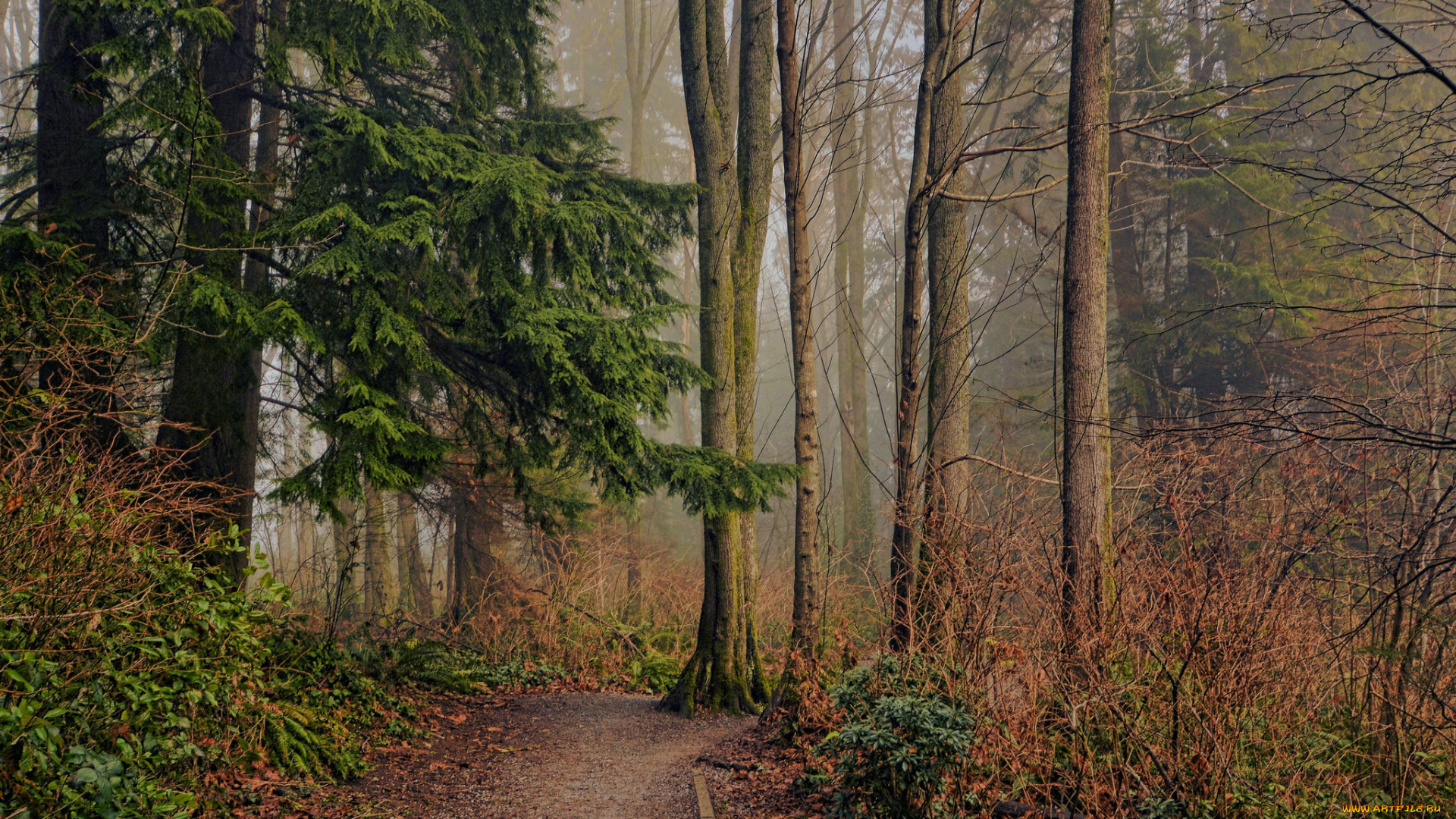 природа, дороги, тракт