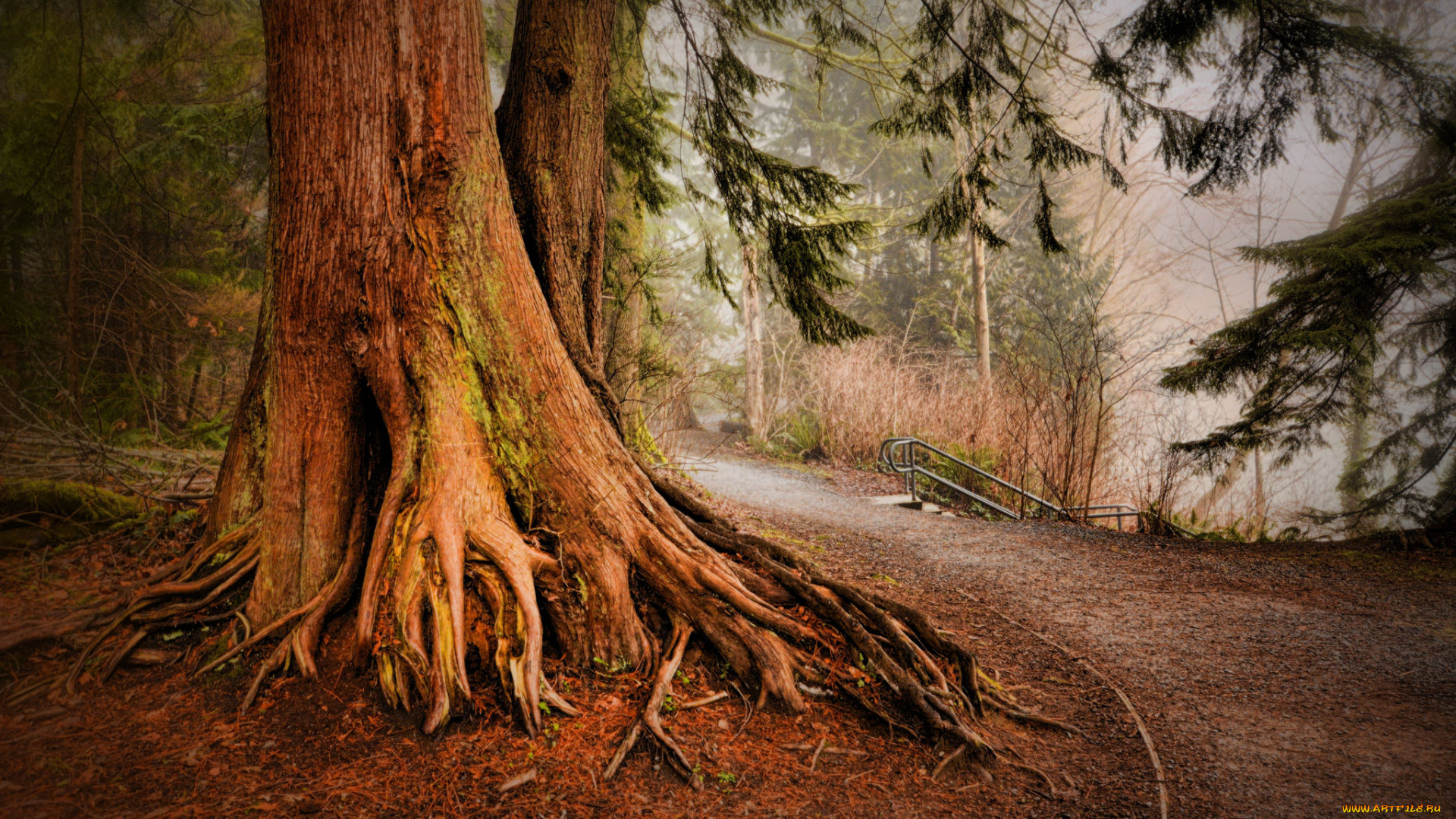 природа, дороги, тракт