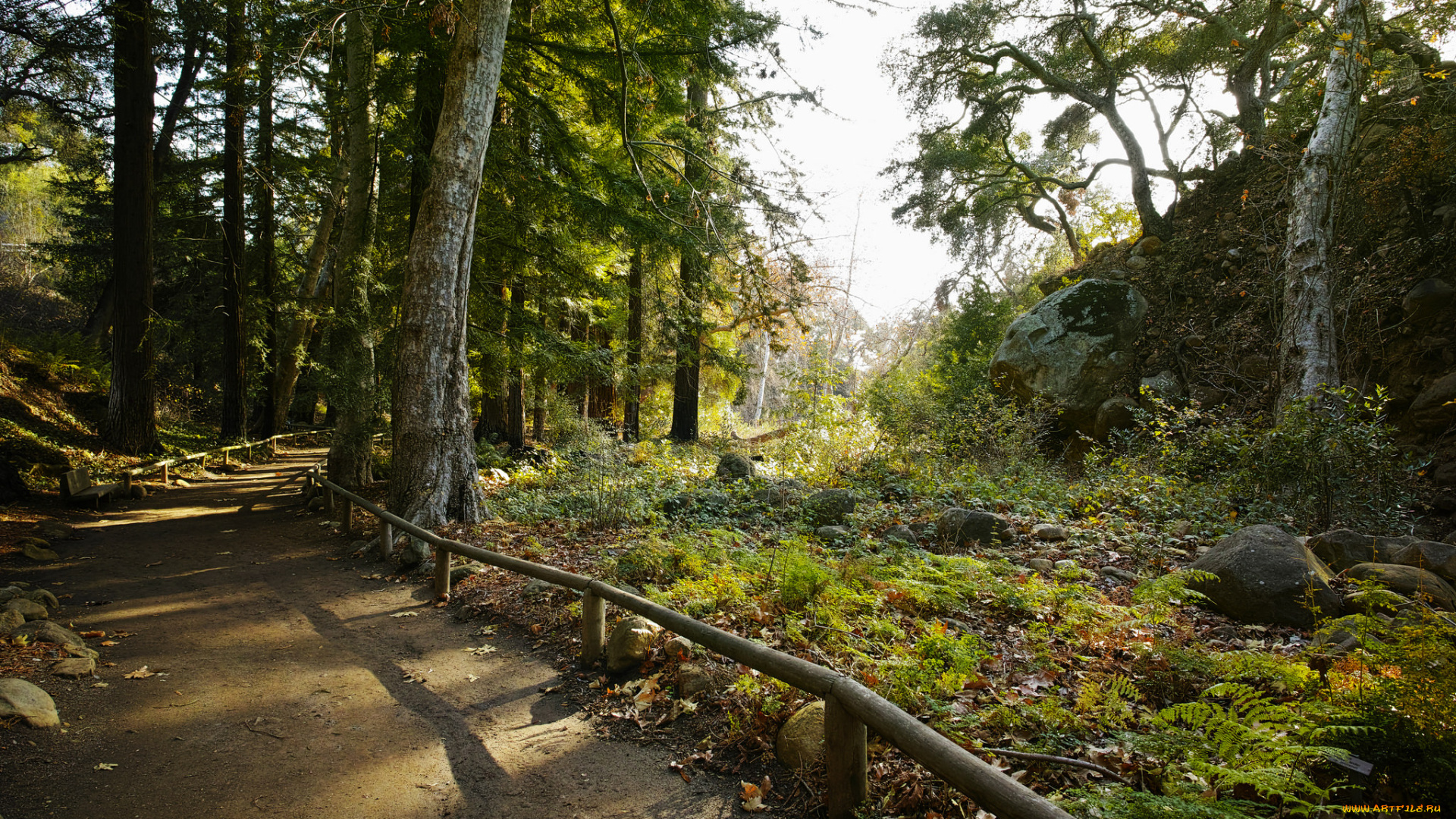 природа, дороги, тракт