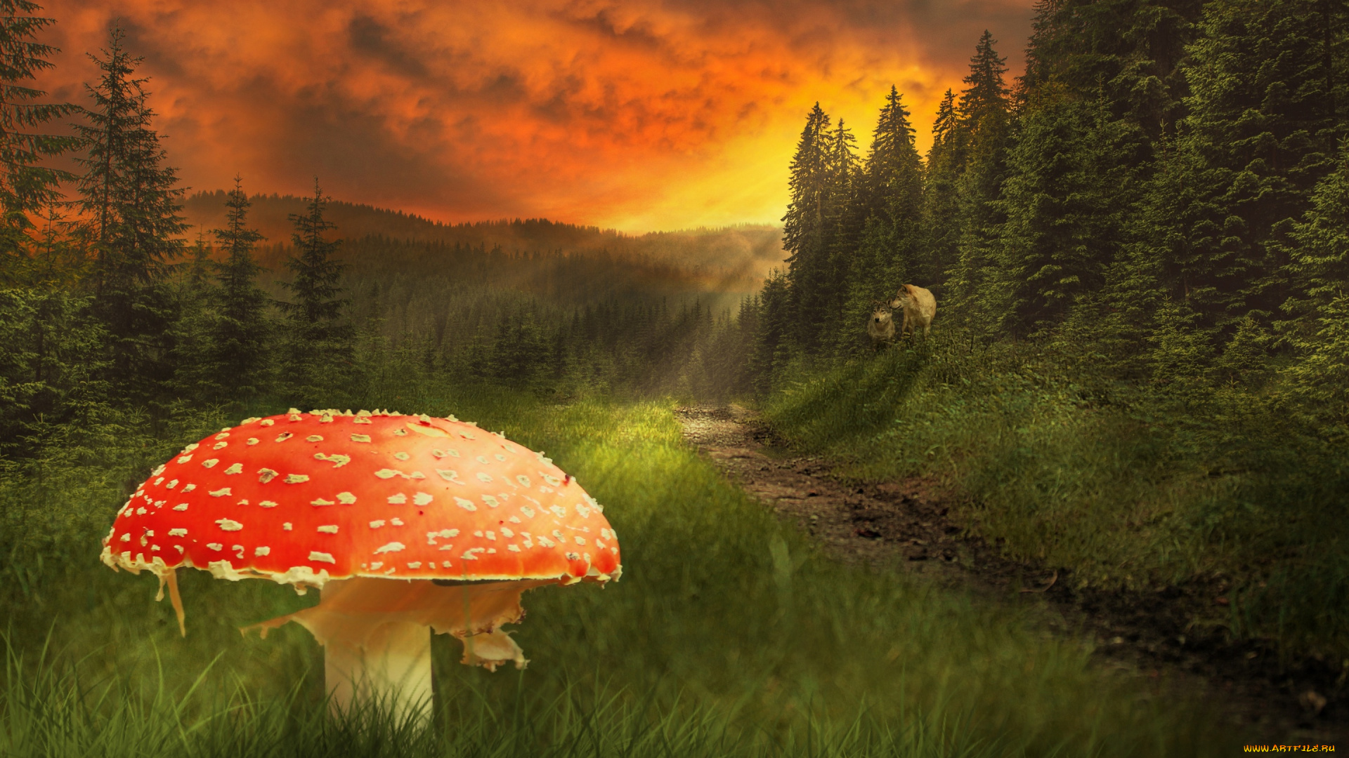 природа, грибы, , мухомор, гриб, лес, небо, поляна, рава, фотошоп, вечер, мухомор, тучи, красный, деревья, зарево, зелень, лучи, солнца, волки, тропинка, лето