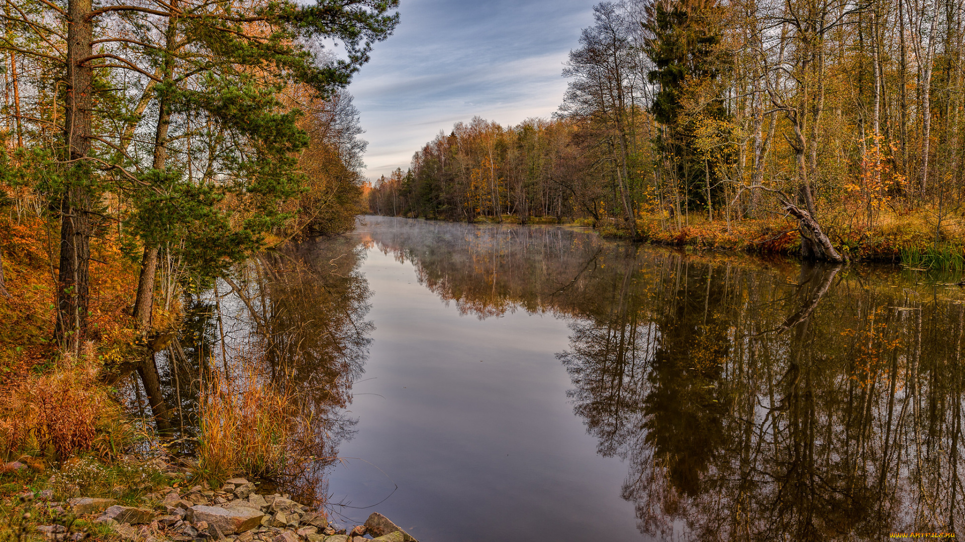 природа, реки, озера, лес, река