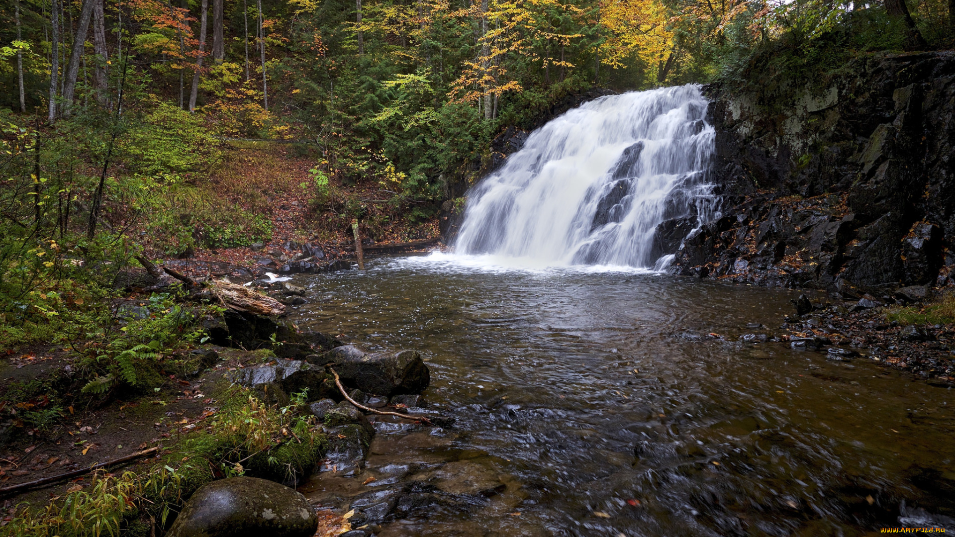 природа, водопады, лес, река, водопад