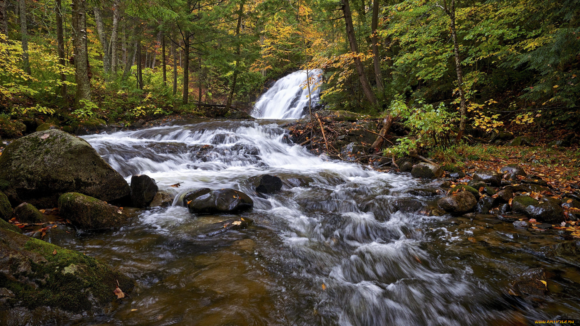 природа, водопады, лес, река, водопад