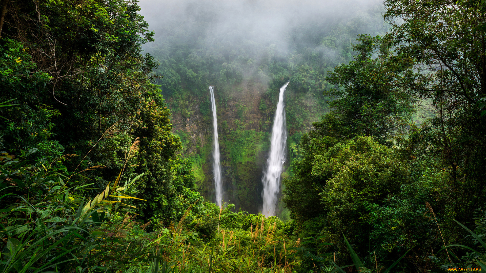 природа, водопады, лес, река, водопад