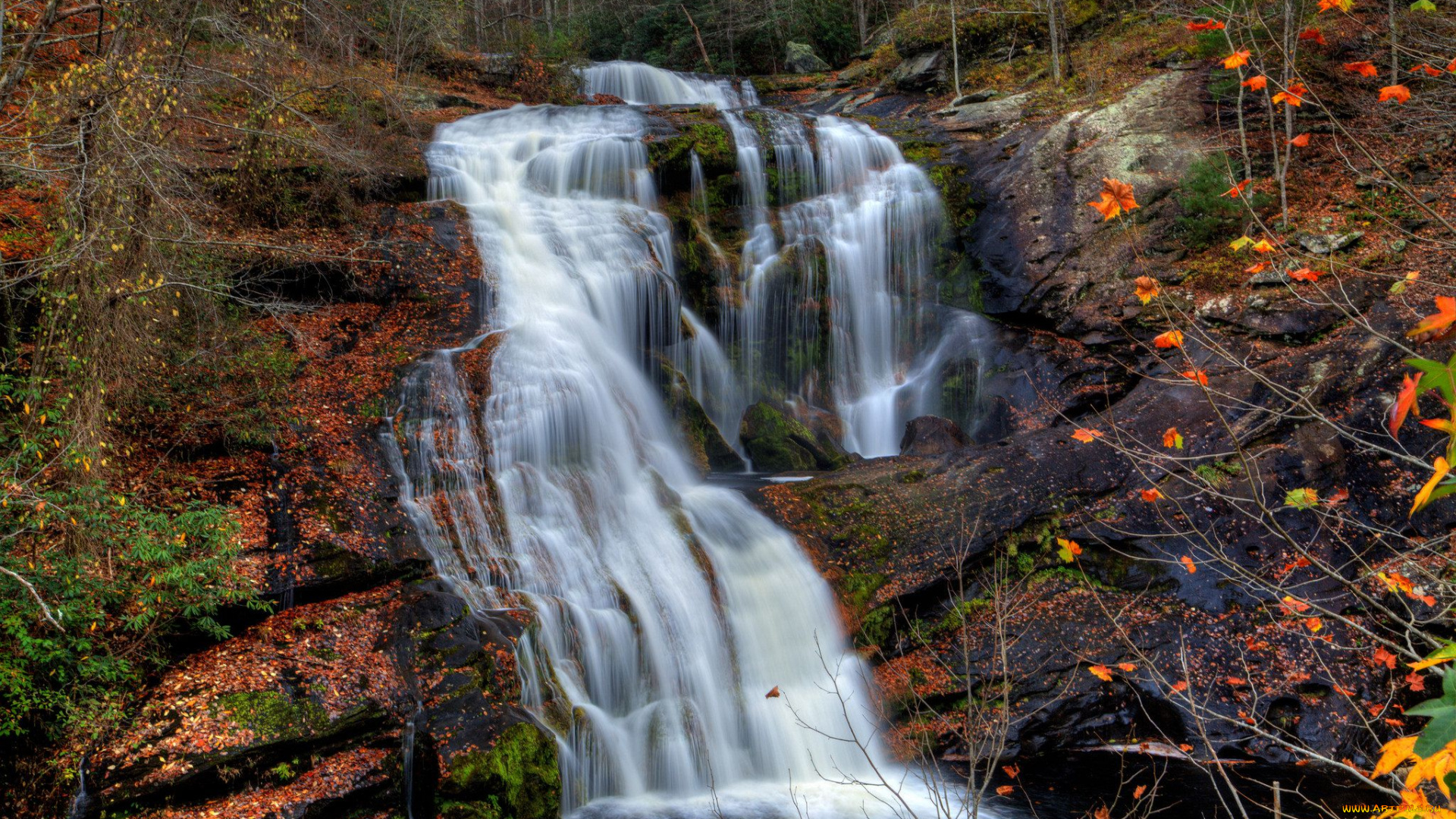 природа, водопады, лес, река, водопад