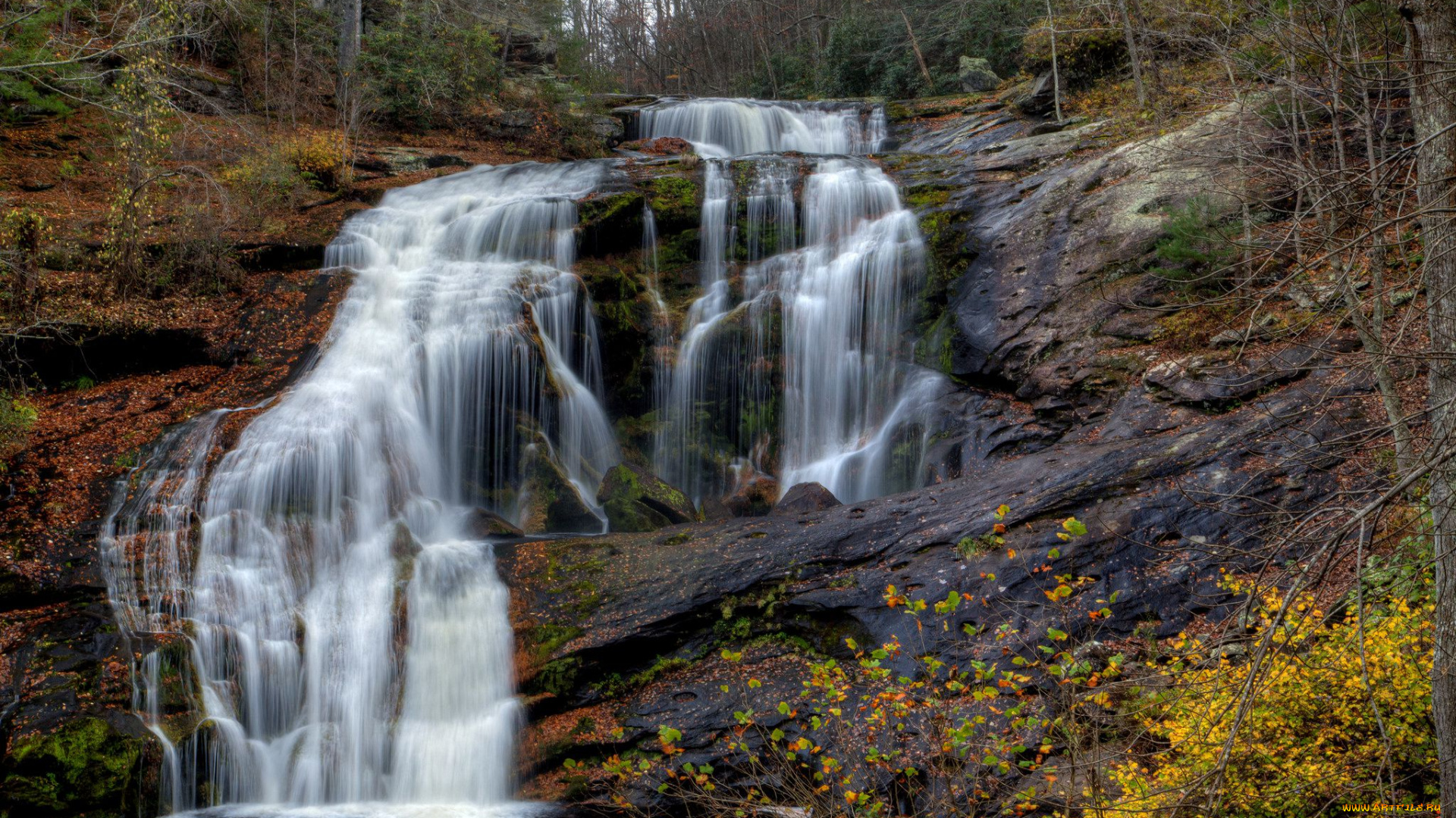 природа, водопады, лес, река, водопад