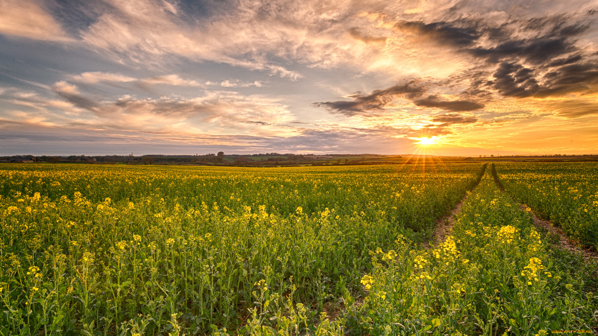 природа, восходы, закаты, рассвет