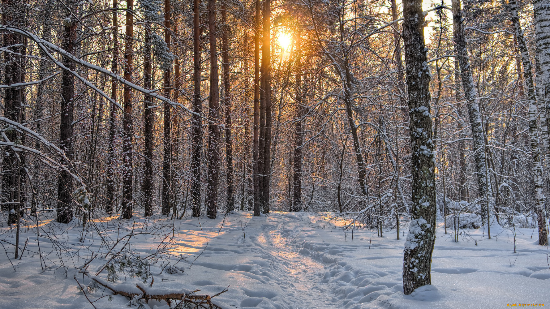 природа, зима, снег