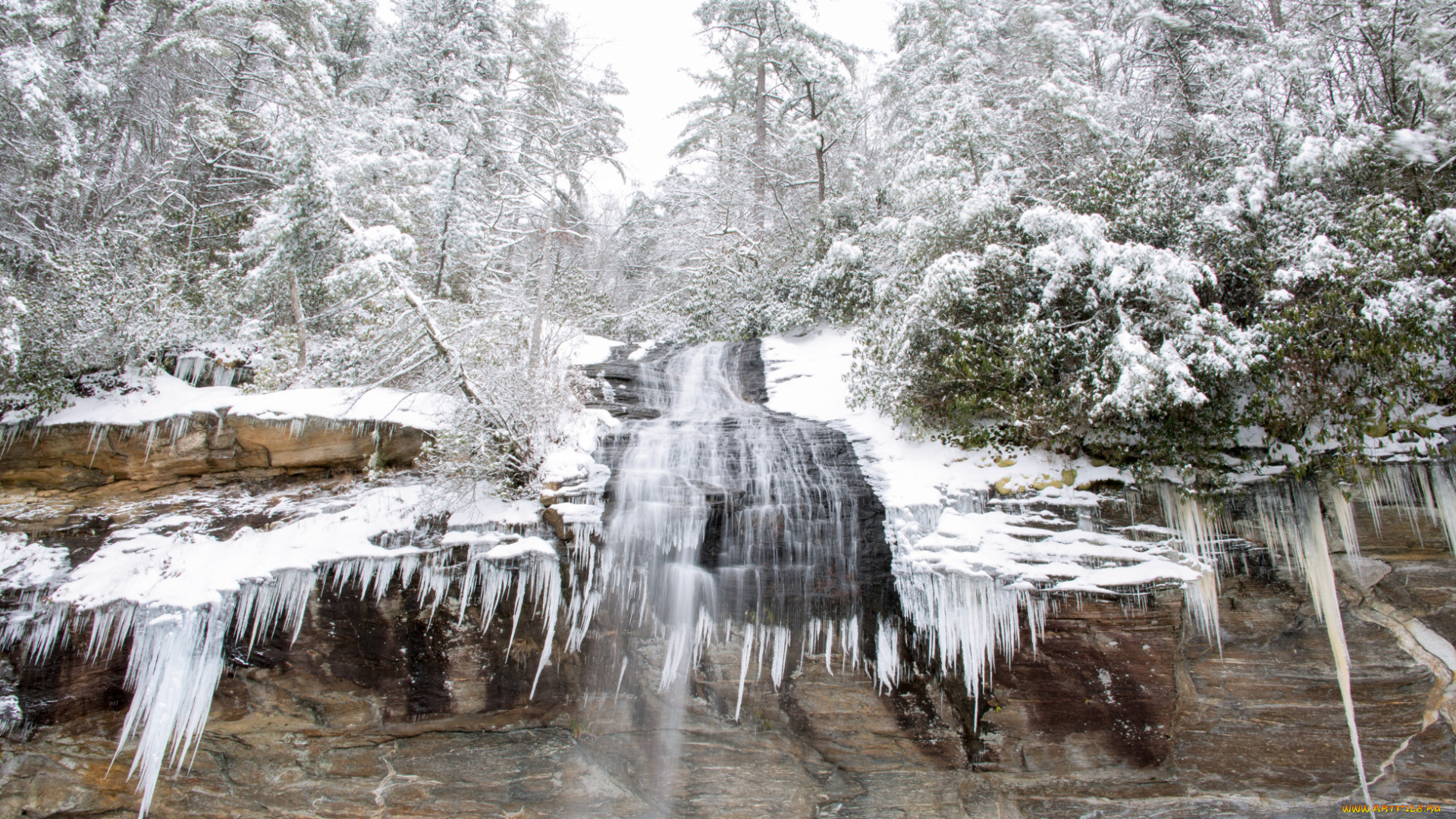 природа, зима, снег