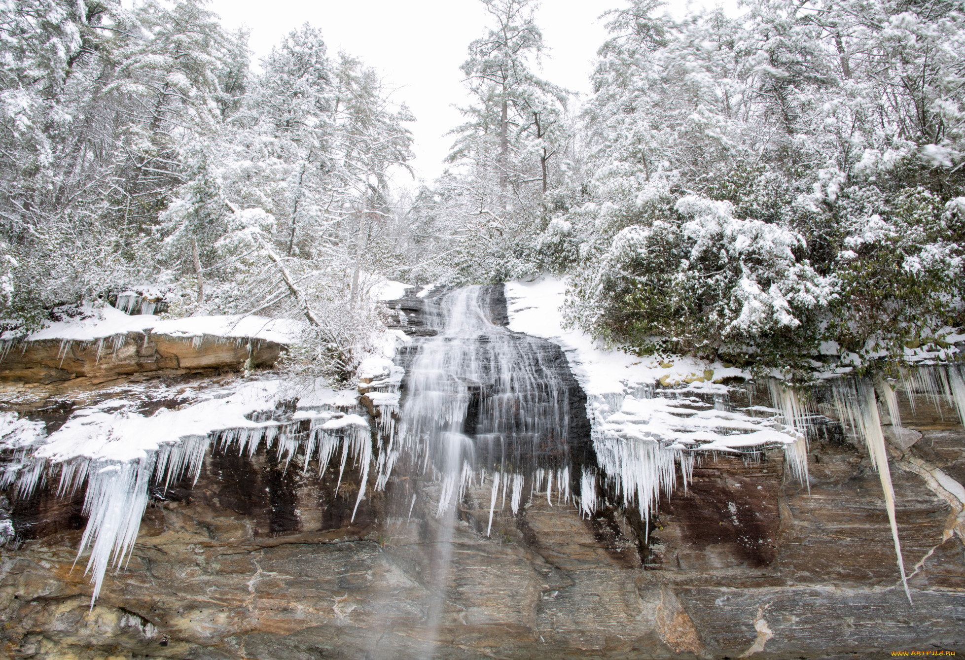 природа, зима, снег