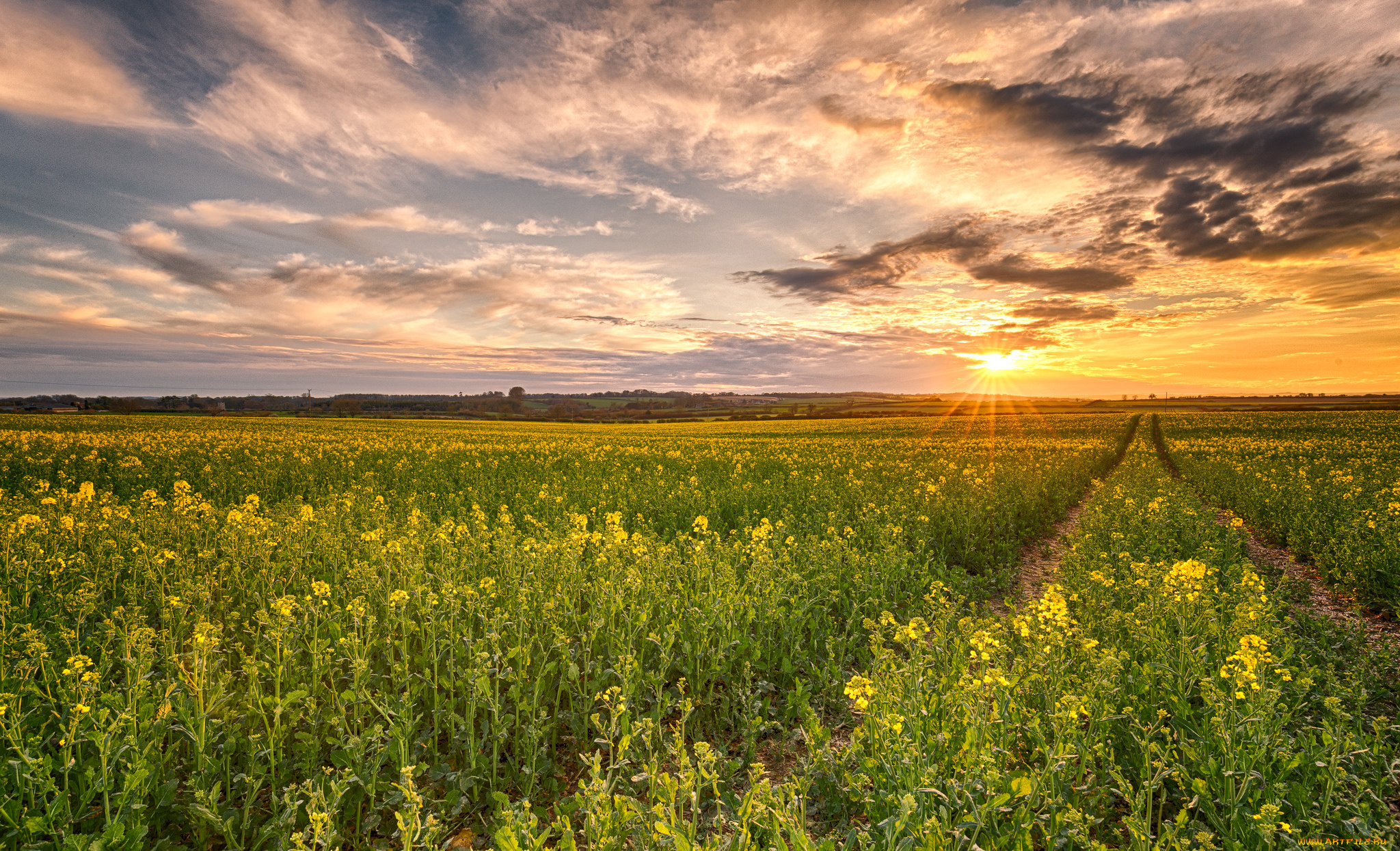 природа, восходы, закаты, рассвет