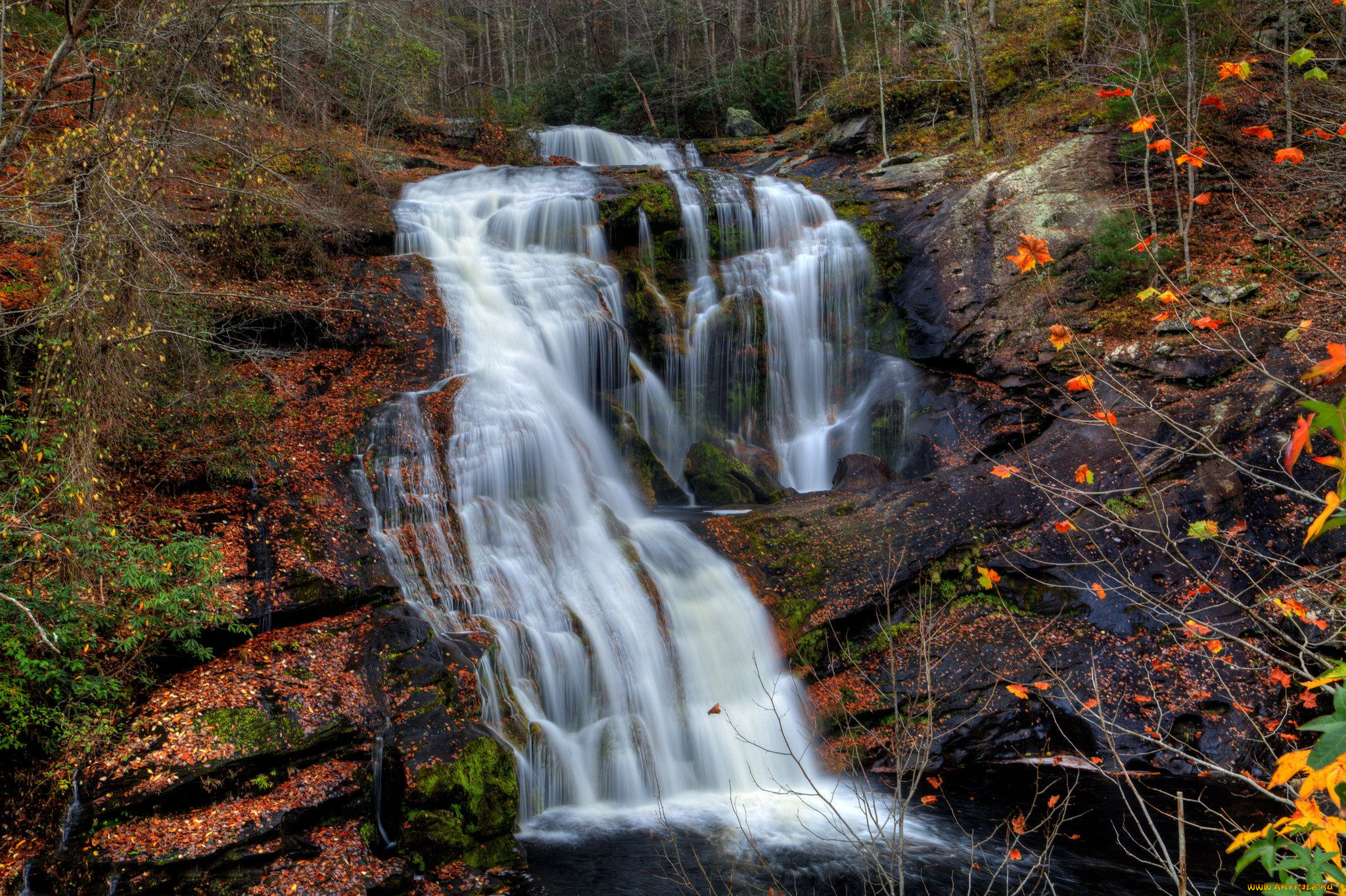 природа, водопады, лес, река, водопад