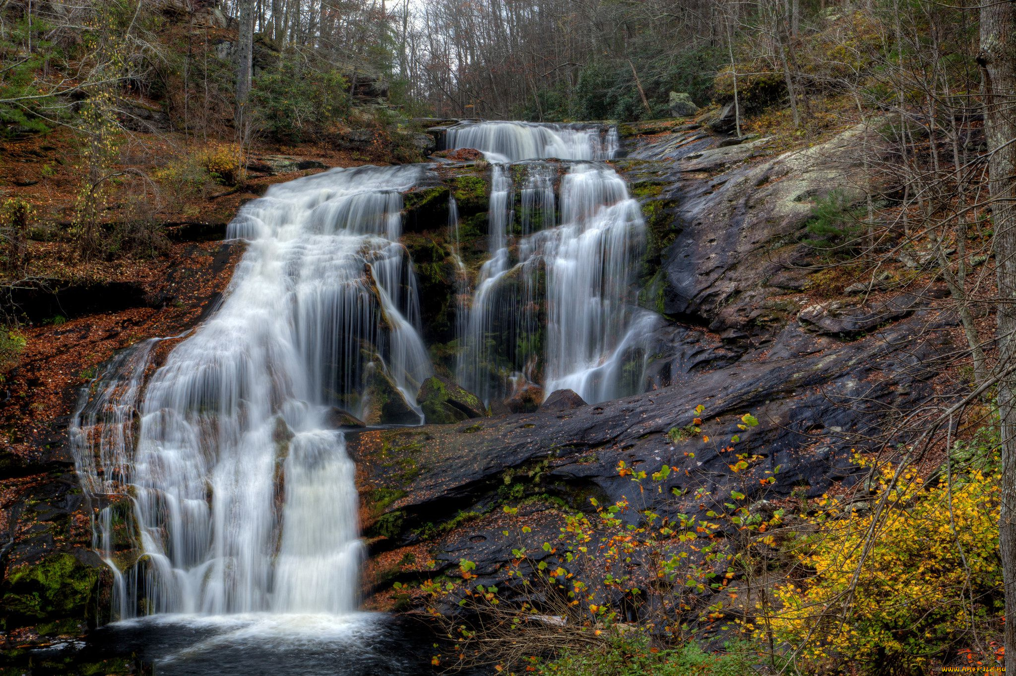 природа, водопады, лес, река, водопад