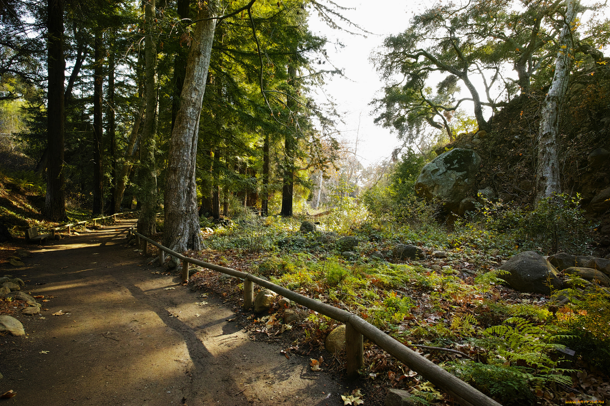 природа, дороги, тракт