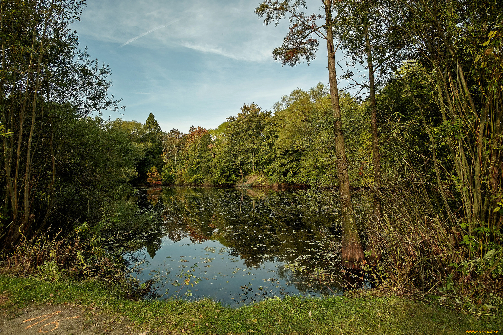 природа, реки, озера, лес, река