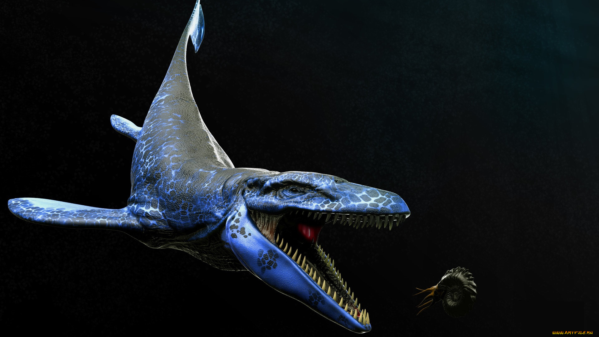 3д, графика, животные, , animals, акула