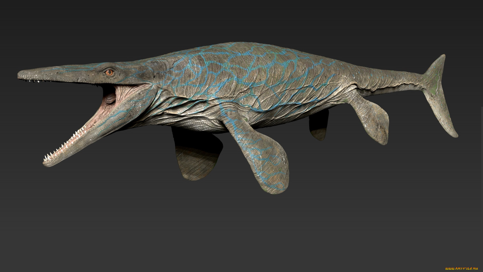 3д, графика, животные, , animals, акула