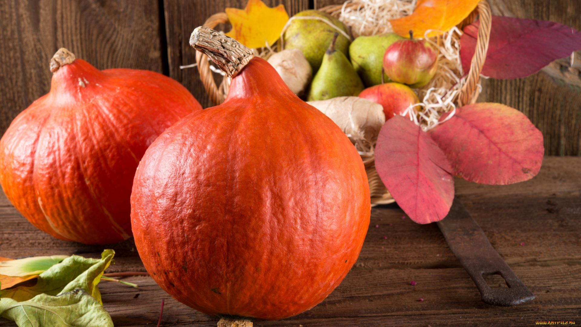 еда, фрукты, и, овощи, вместе, корзинка, груши, тыква, дары, осени