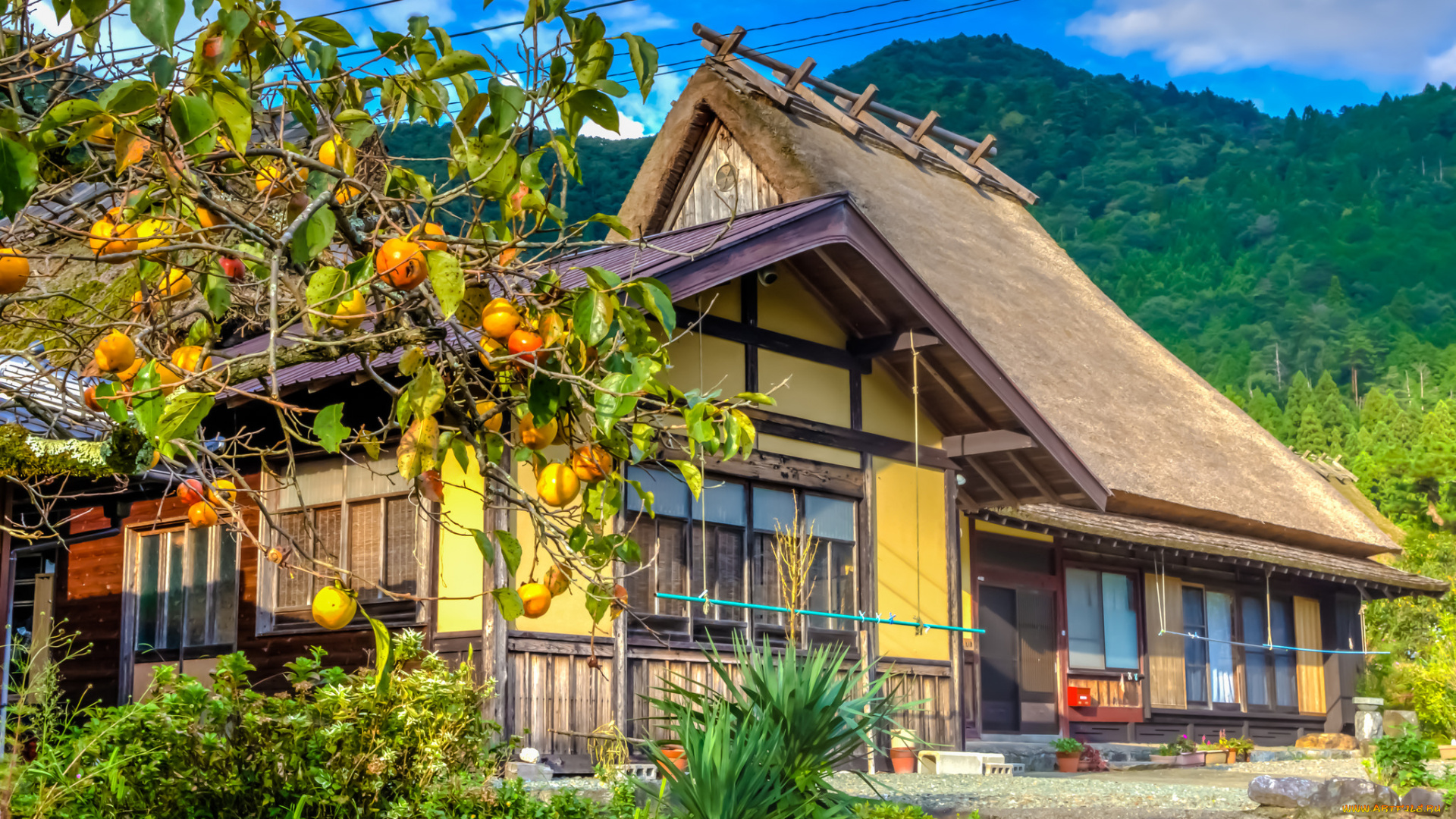 города, -, здания, , дома, дом, загородный