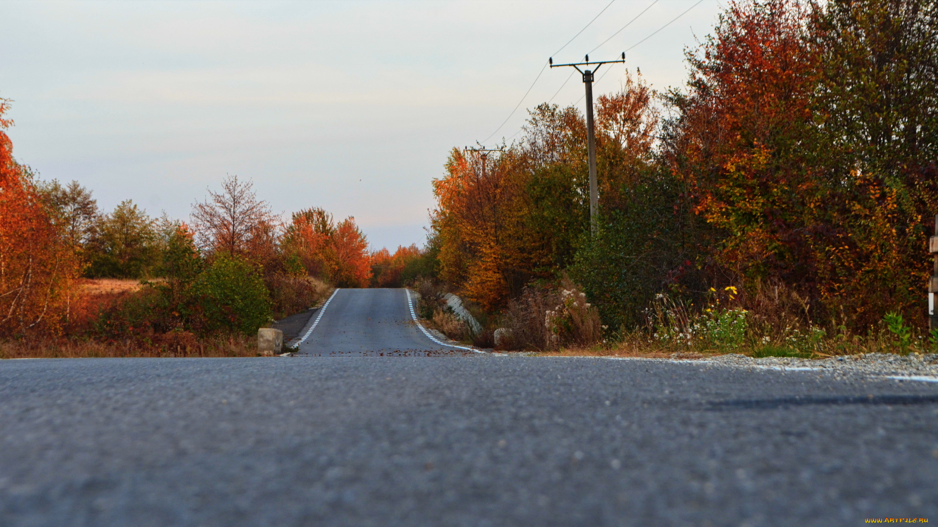 природа, дороги, осень, шоссе