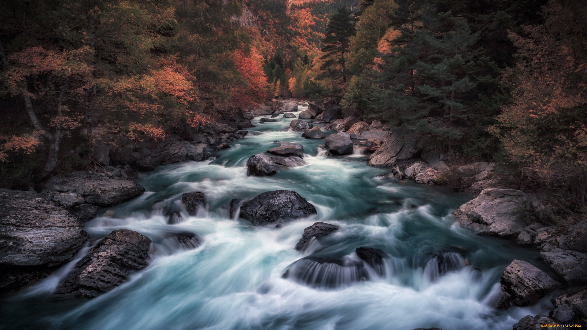 природа, реки, озера, осень, река, лес