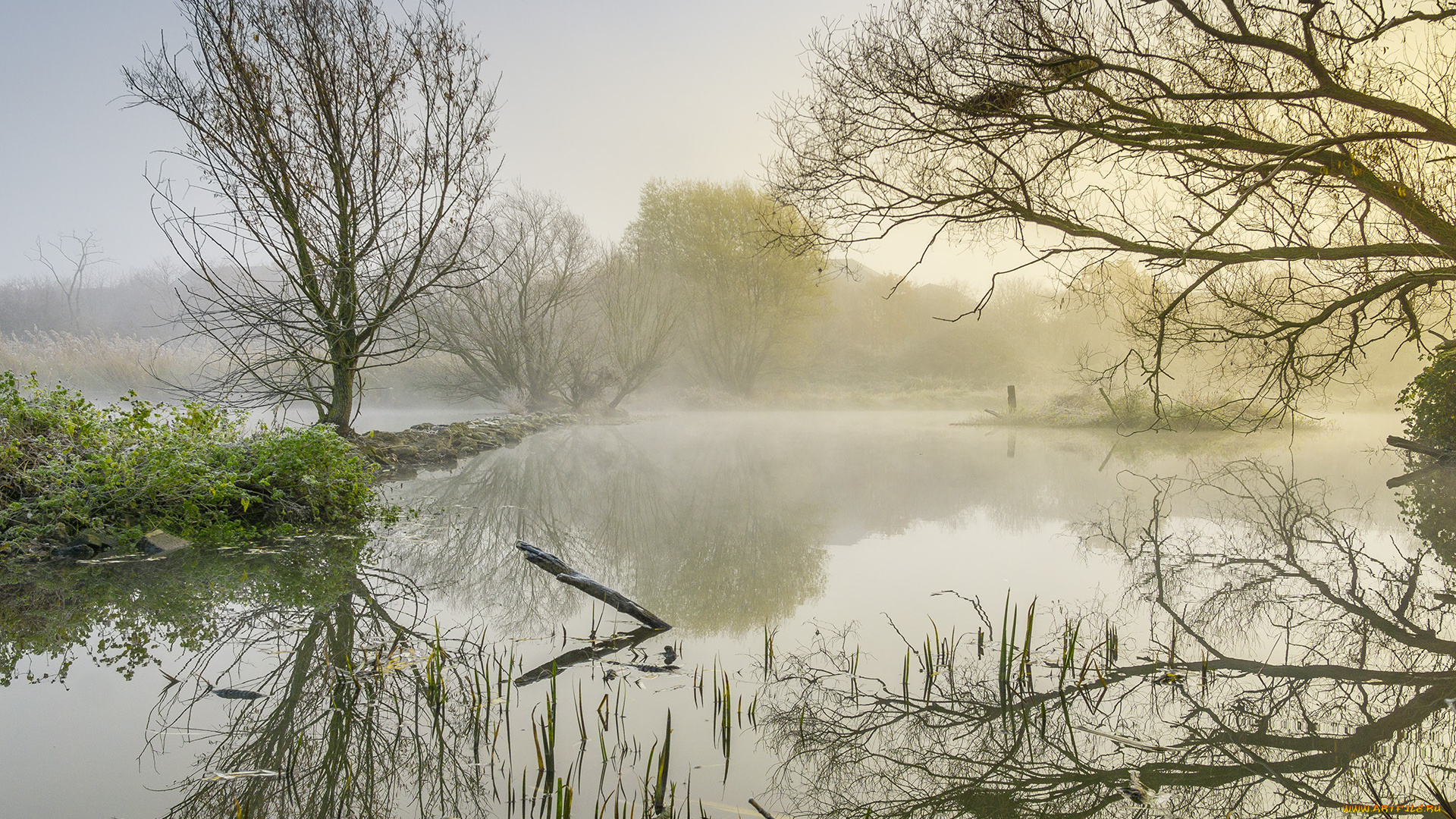 природа, реки, озера, простор