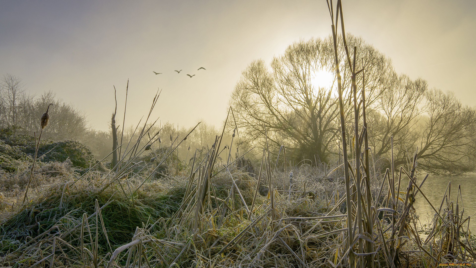 природа, реки, озера, простор