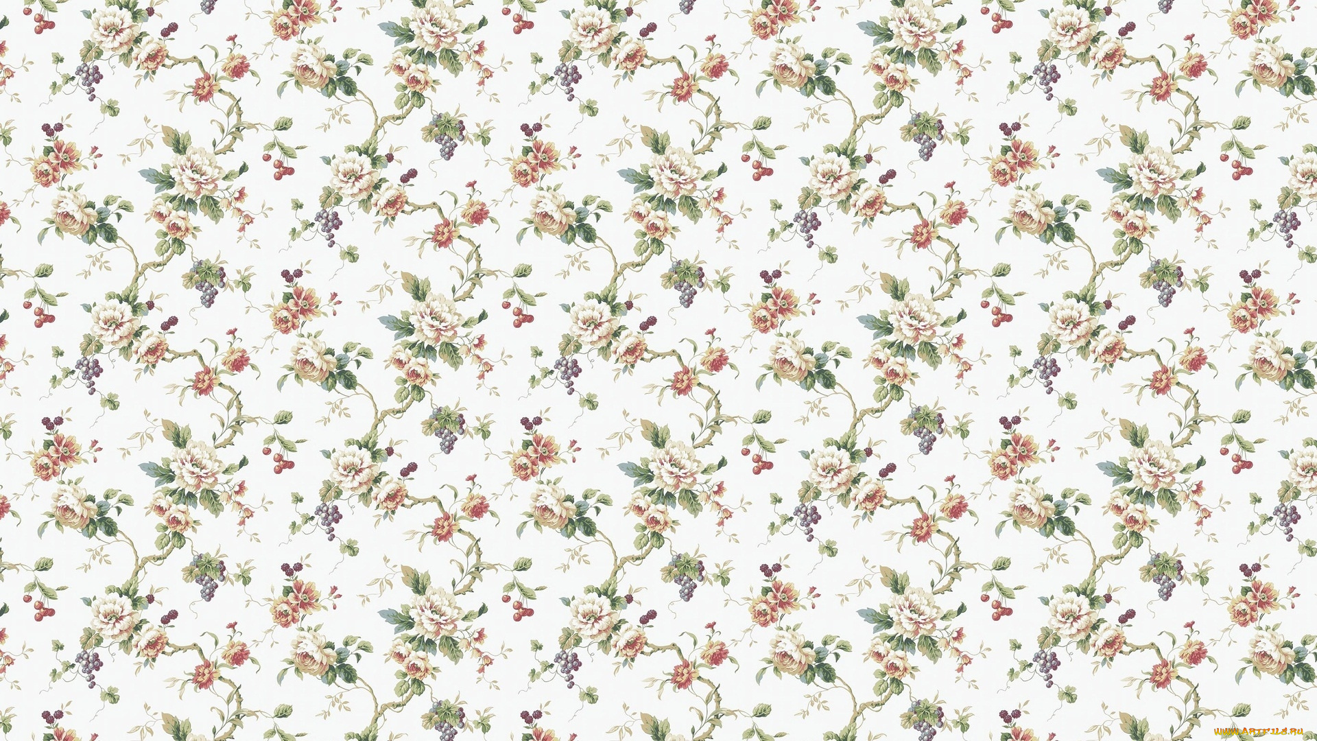 векторная, графика, цветы, , flowers, цветы, фон