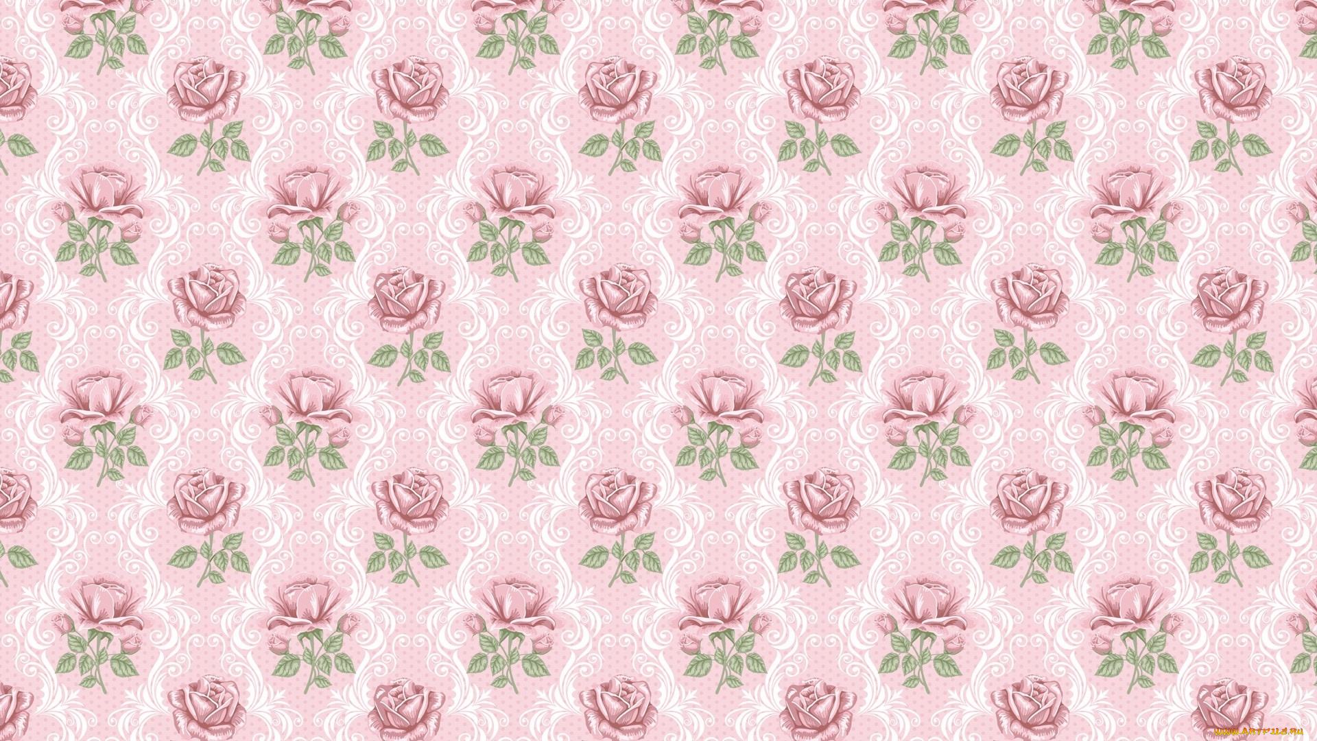 векторная, графика, цветы, , flowers, фон, цветы