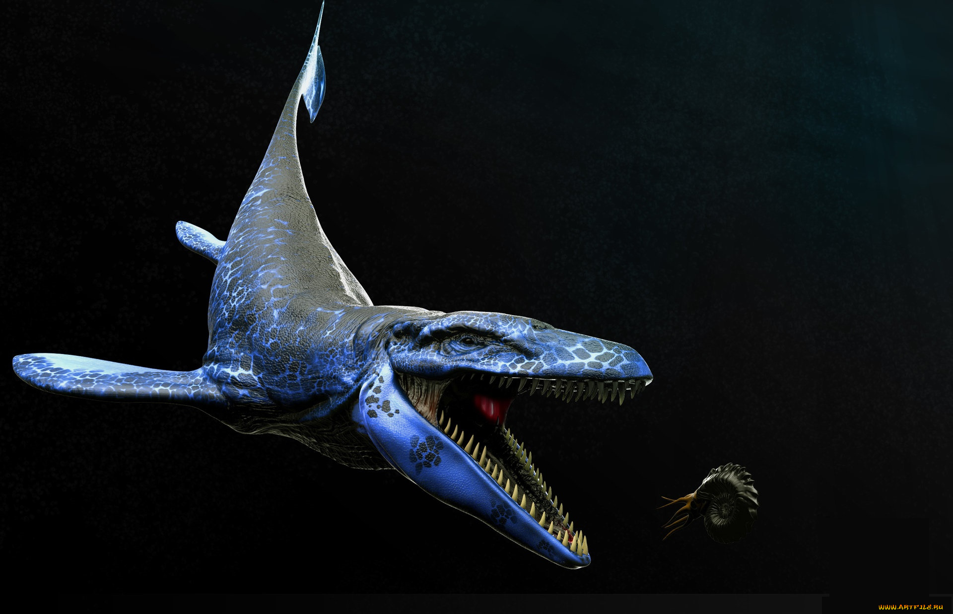 3д, графика, животные, , animals, акула