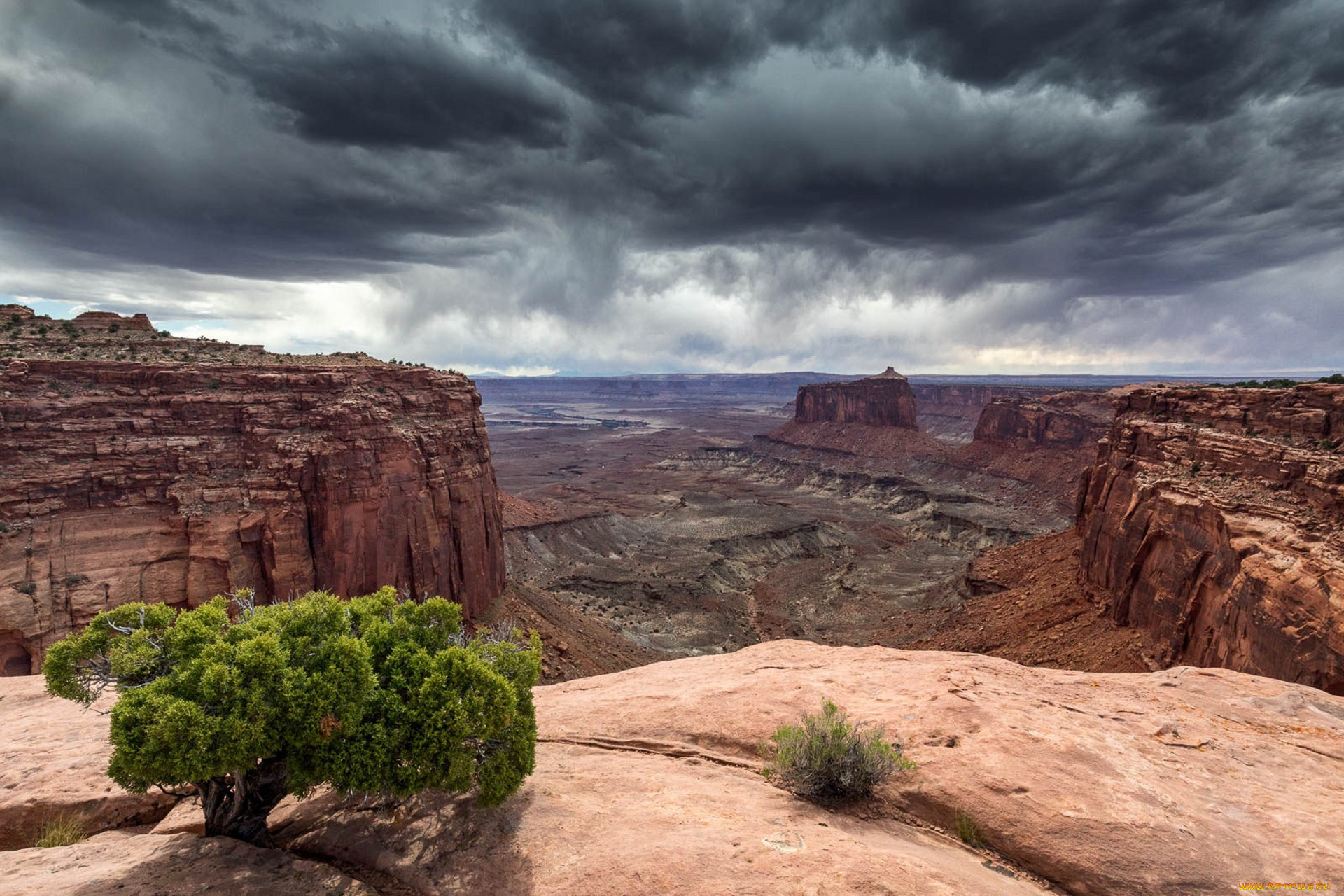 природа, горы, простор