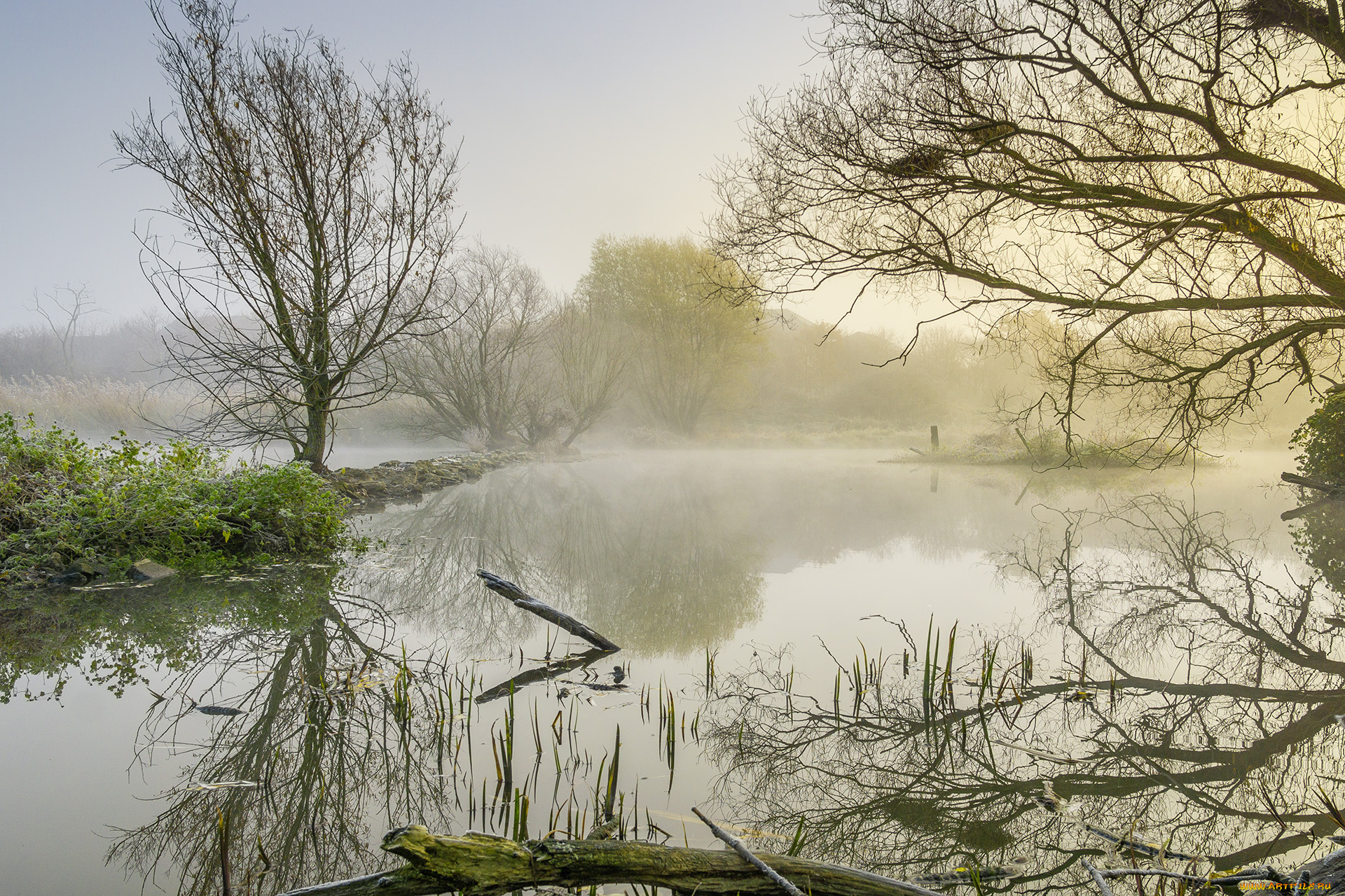 природа, реки, озера, простор
