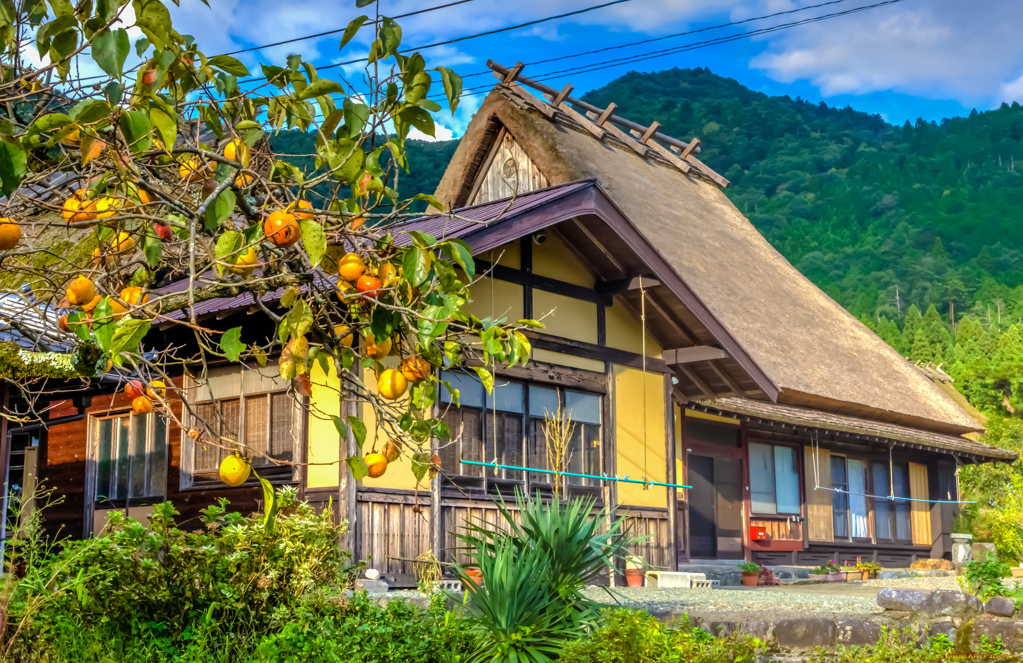 города, -, здания, , дома, дом, загородный