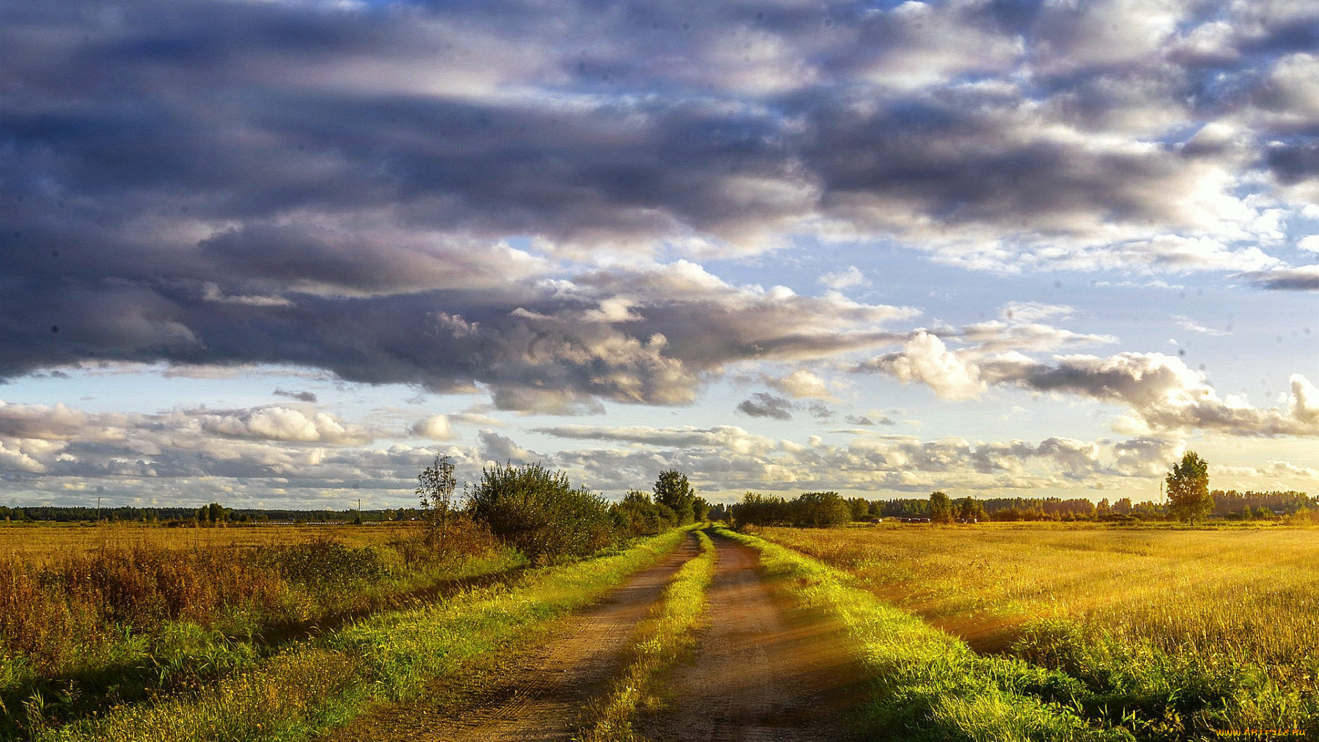 природа, дороги, простор