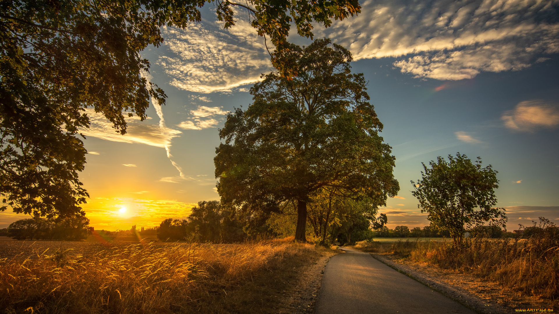 природа, дороги, простор