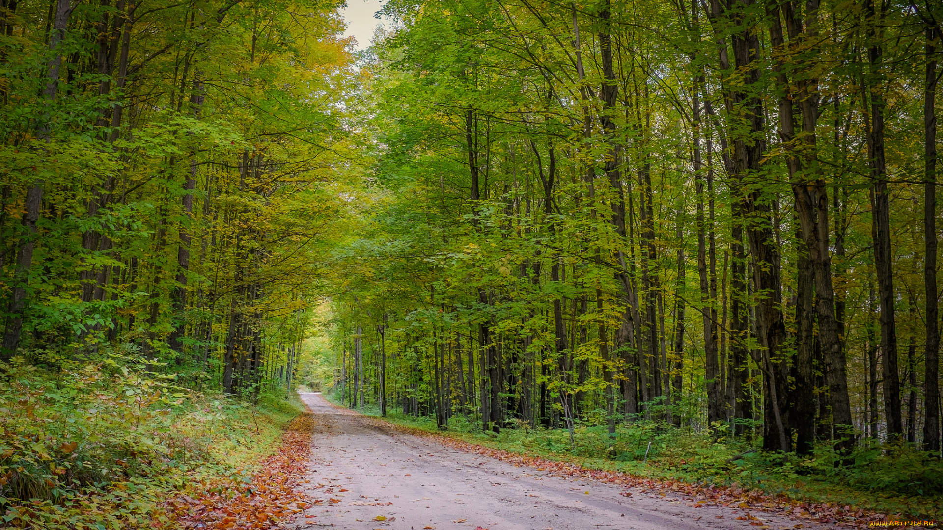 природа, дороги, простор