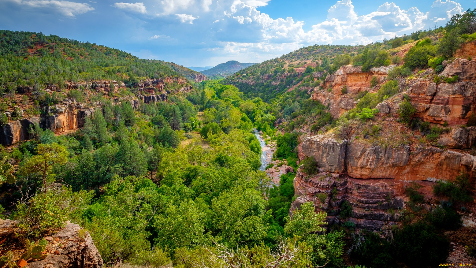 природа, горы, простор